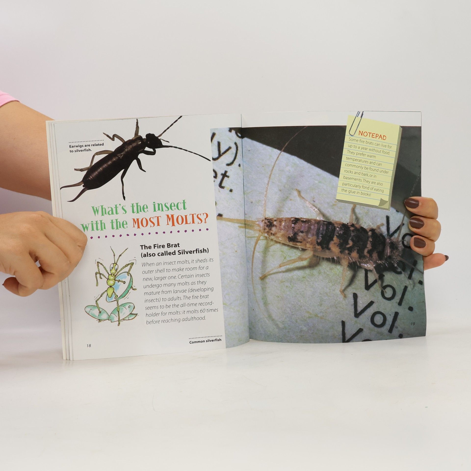 Samuel G. Woods The Amazing Book of Insect Records