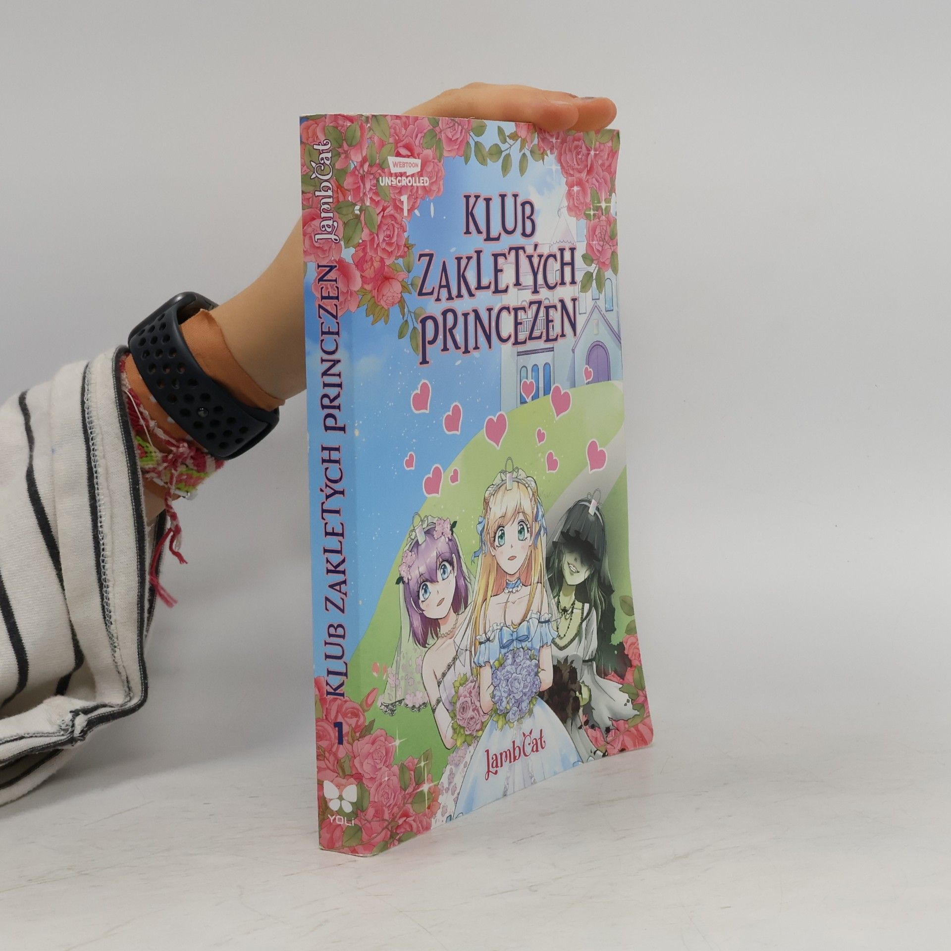 Klub zakletých princezen