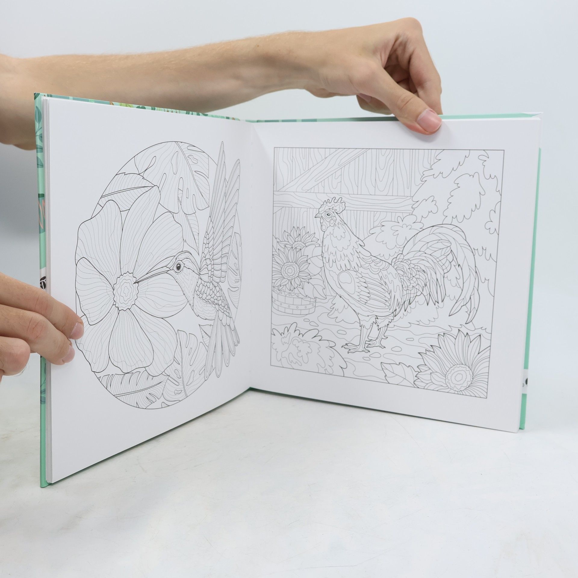 Autorenkollektiv At Home - Colouringbook