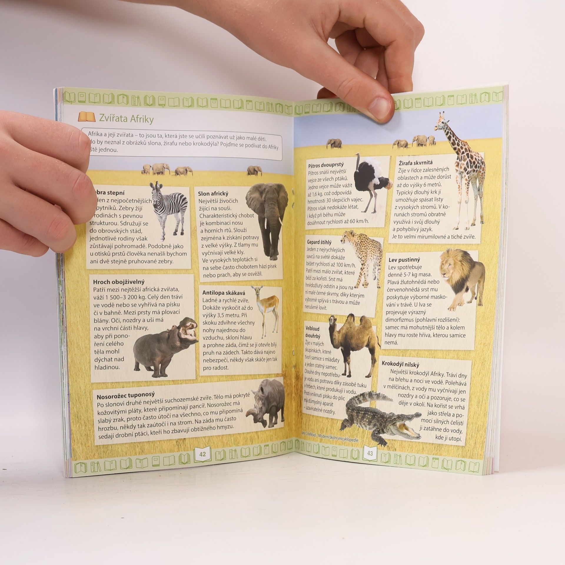 Zdena Effová Čtení s porozuměním 3 : Bublinka a její kamarádi ze zoo