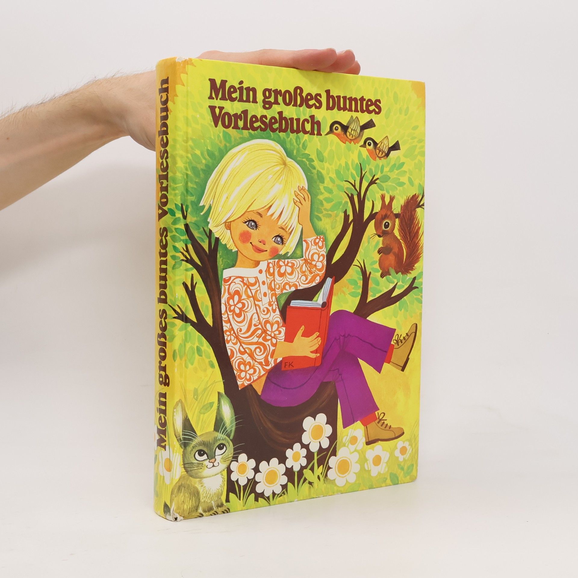 Felicitas Kuhn Mei grosses buntes Vorlesebuch