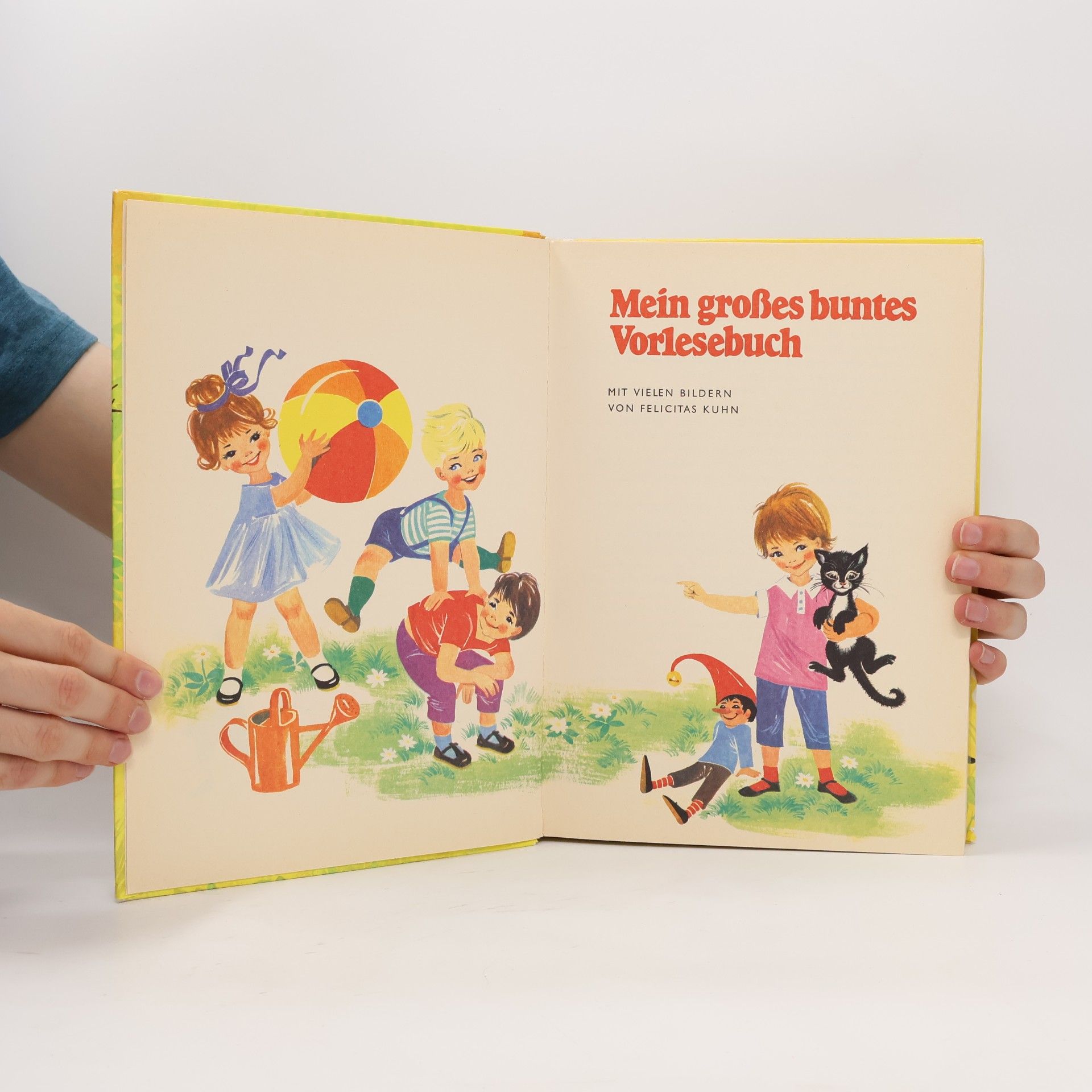 Felicitas Kuhn Mei grosses buntes Vorlesebuch