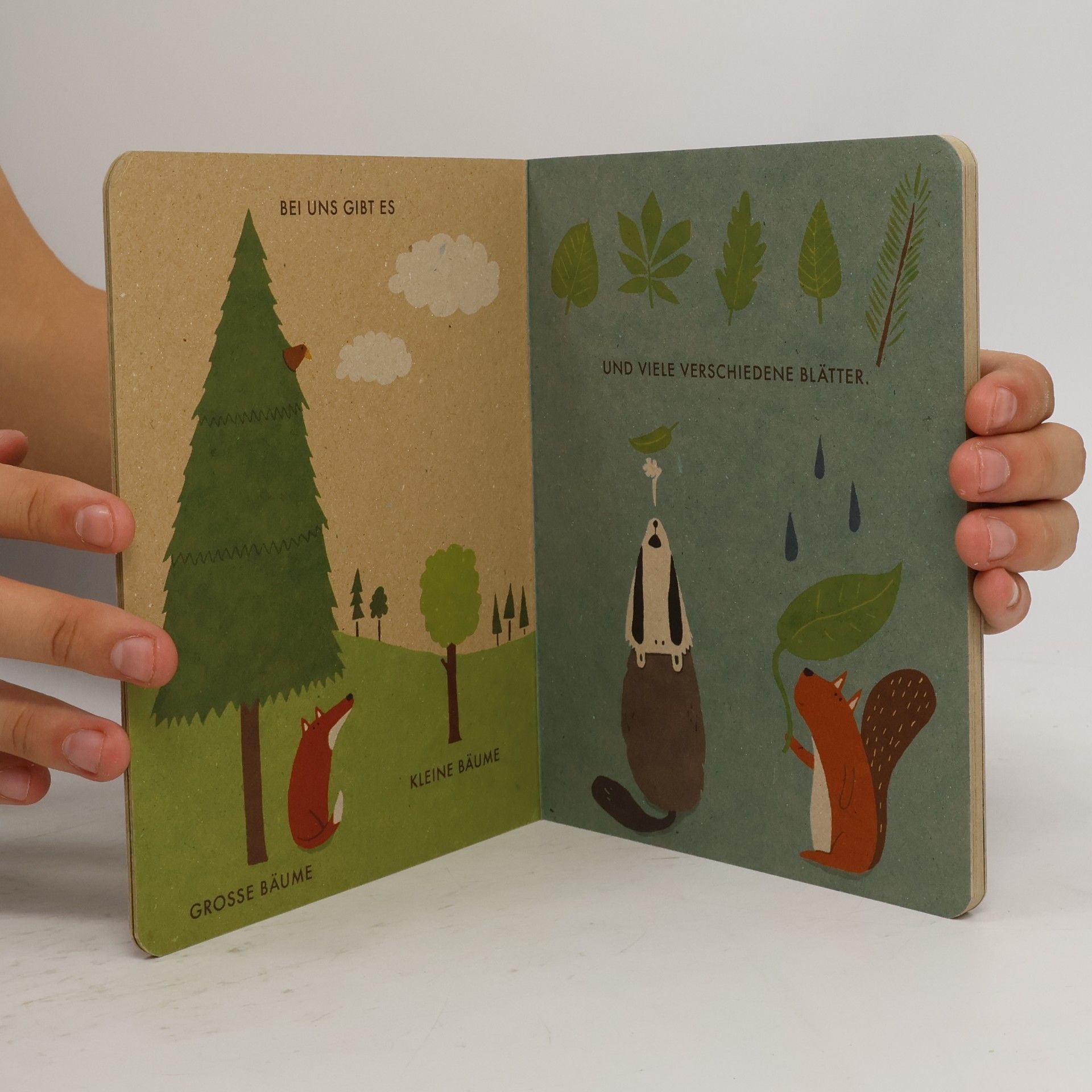 Katrin Wiehle Mein kleiner Wald