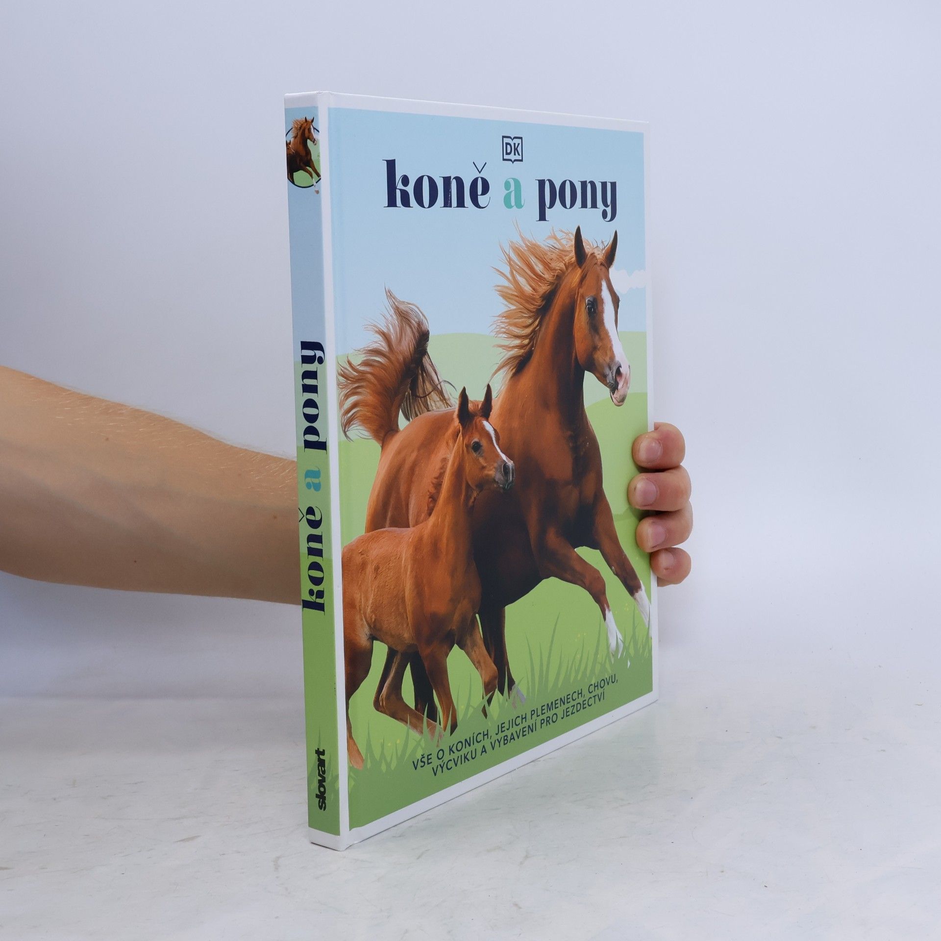 Various authors Koně a pony