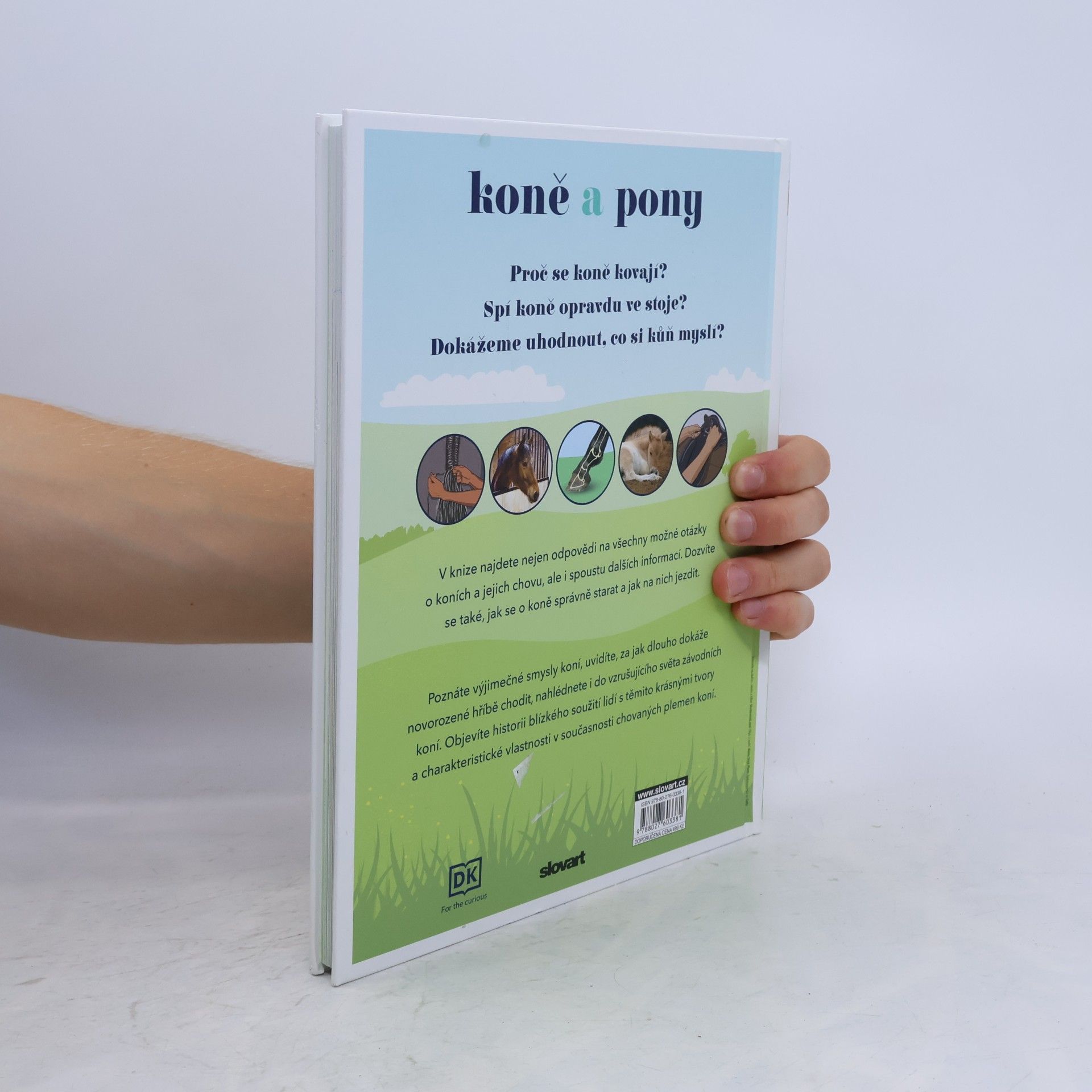 Autorenkollektiv Koně a pony