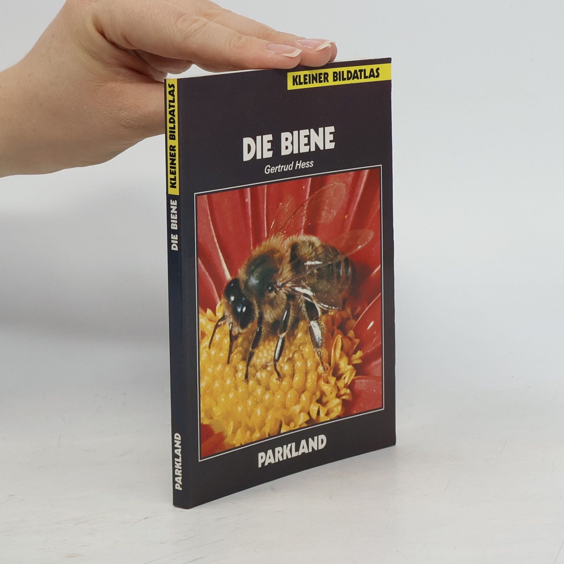 Gertrud Hess Die Biene