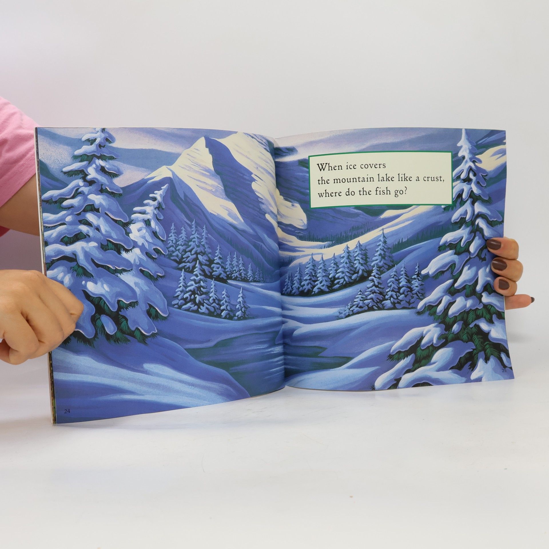 Barbara Seuling Storytown: Winter Lullaby