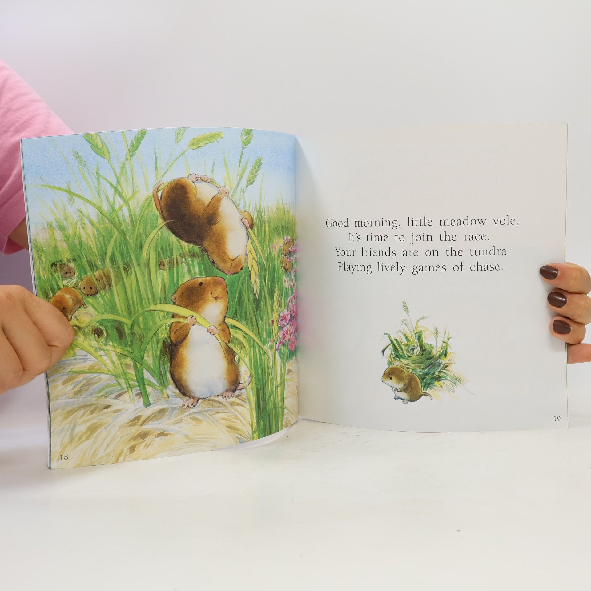 Carol Votaw Storytown: Good Morning, Little Polar Bear Little Book Grade K