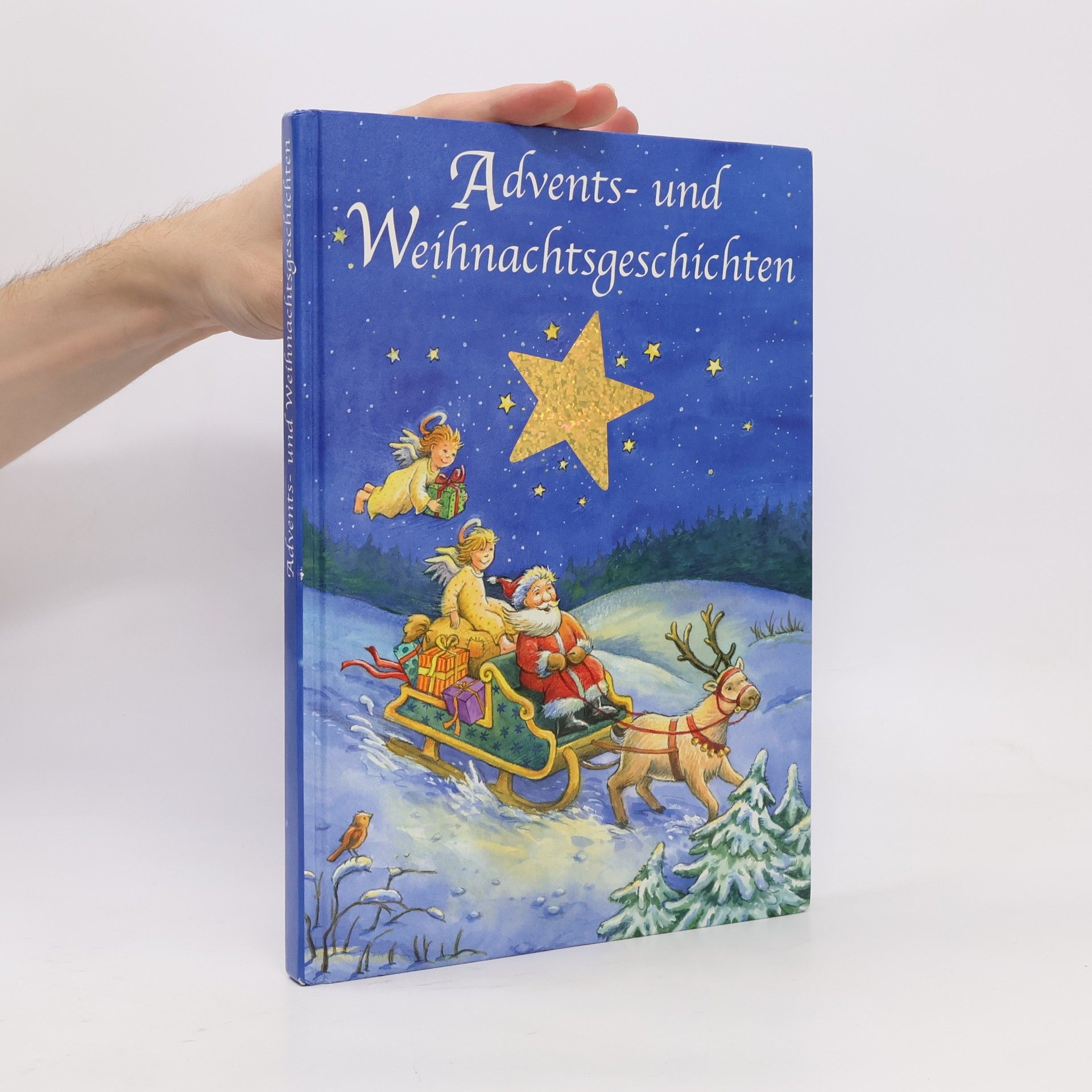 Christine Georg Advents- und Weihnachtsgeschichten
