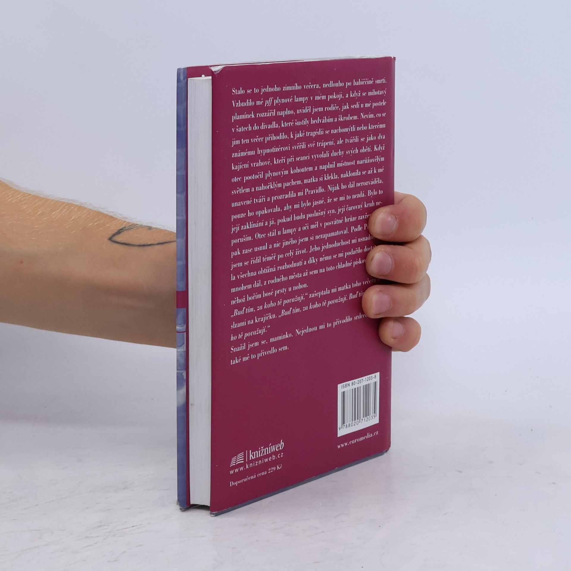 Andrew Sean Greer Zpověď Maxe Tivoliho