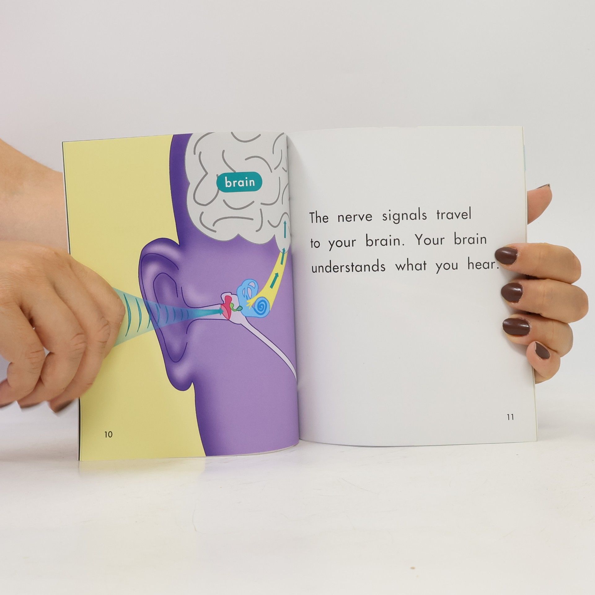 Helen Frost Senses: Hearing