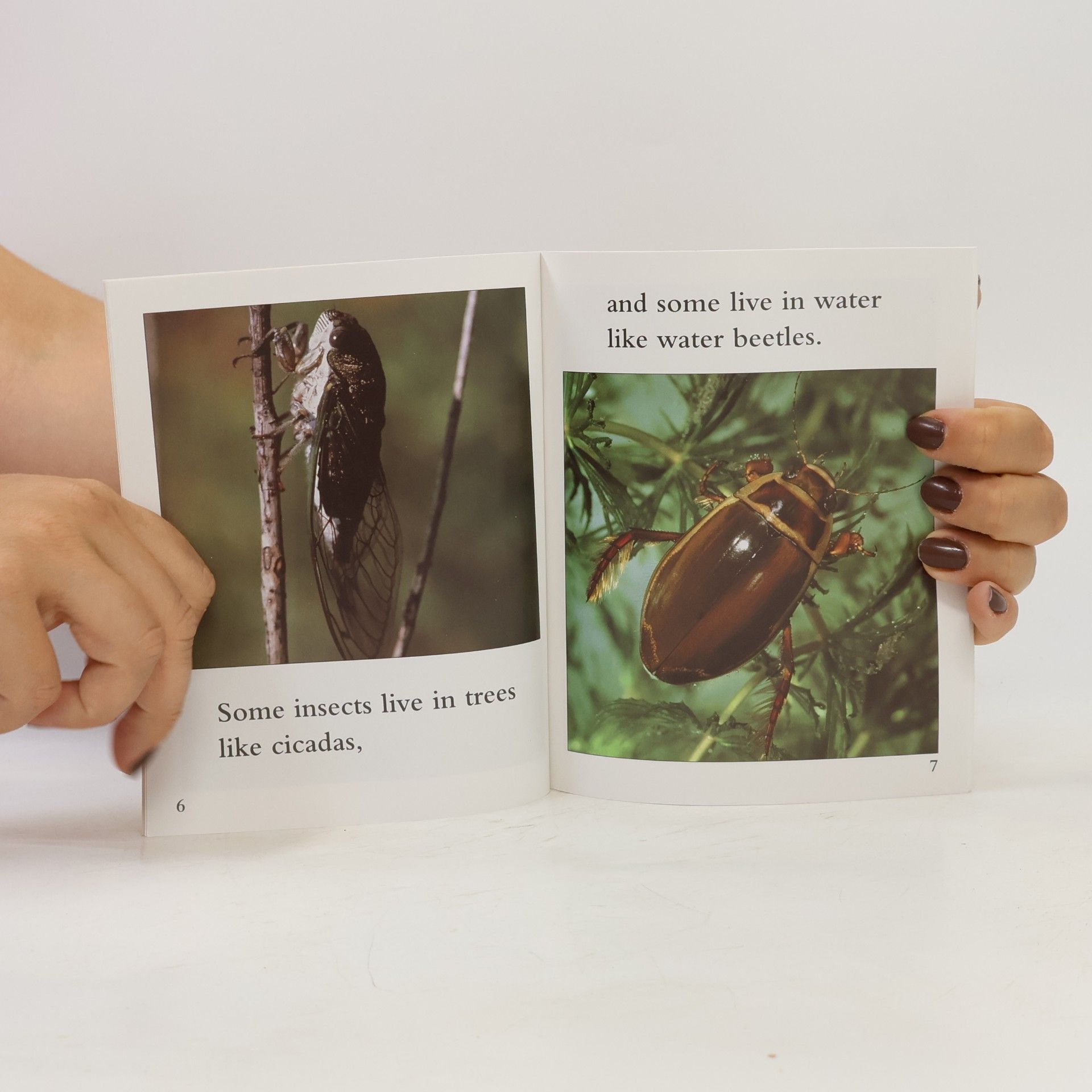 ALLAN FOWLER Rookie Read-About™ Science: It's a Good Thing There Are Insects