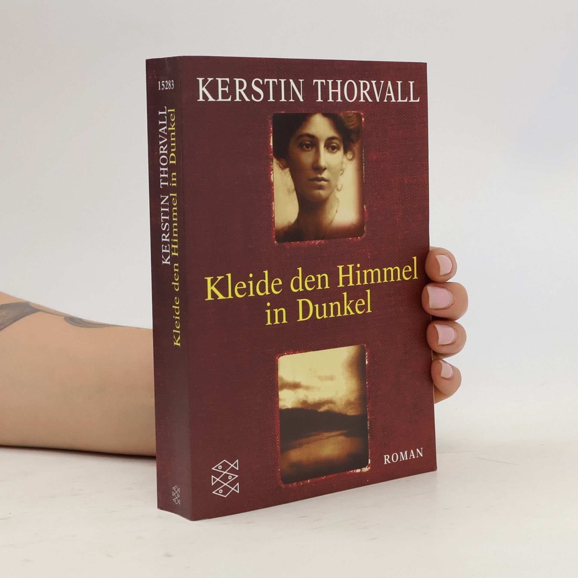 Kerstin Thorvall Kleide den Himmel in Dunkel