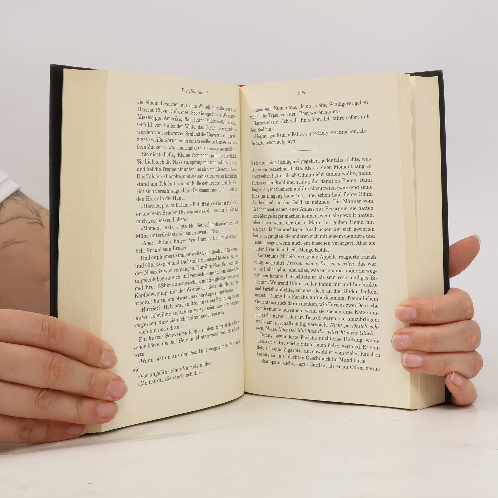 Donna Tartt Der kleine Freund