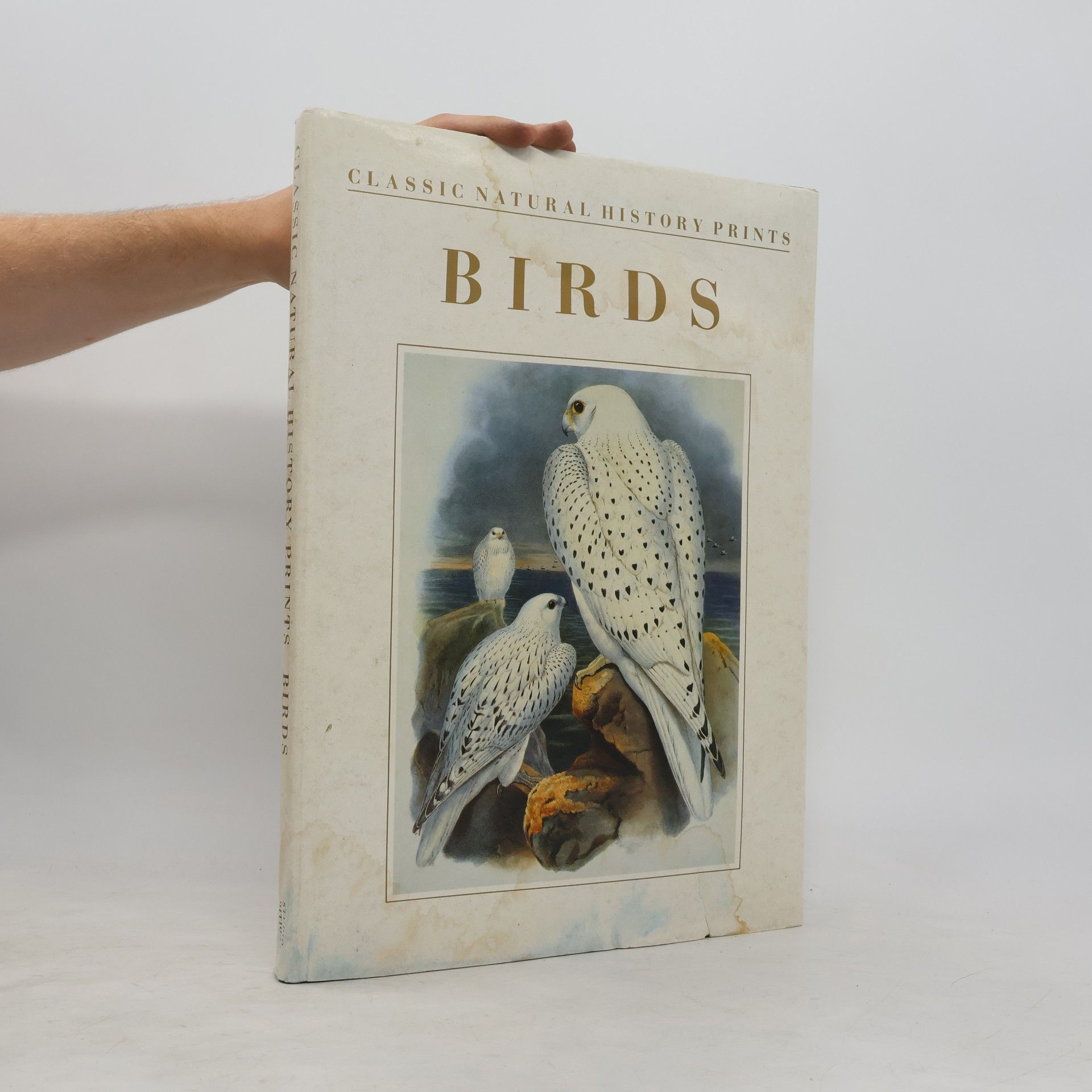 Unknown Author Classical Natural History Prints
