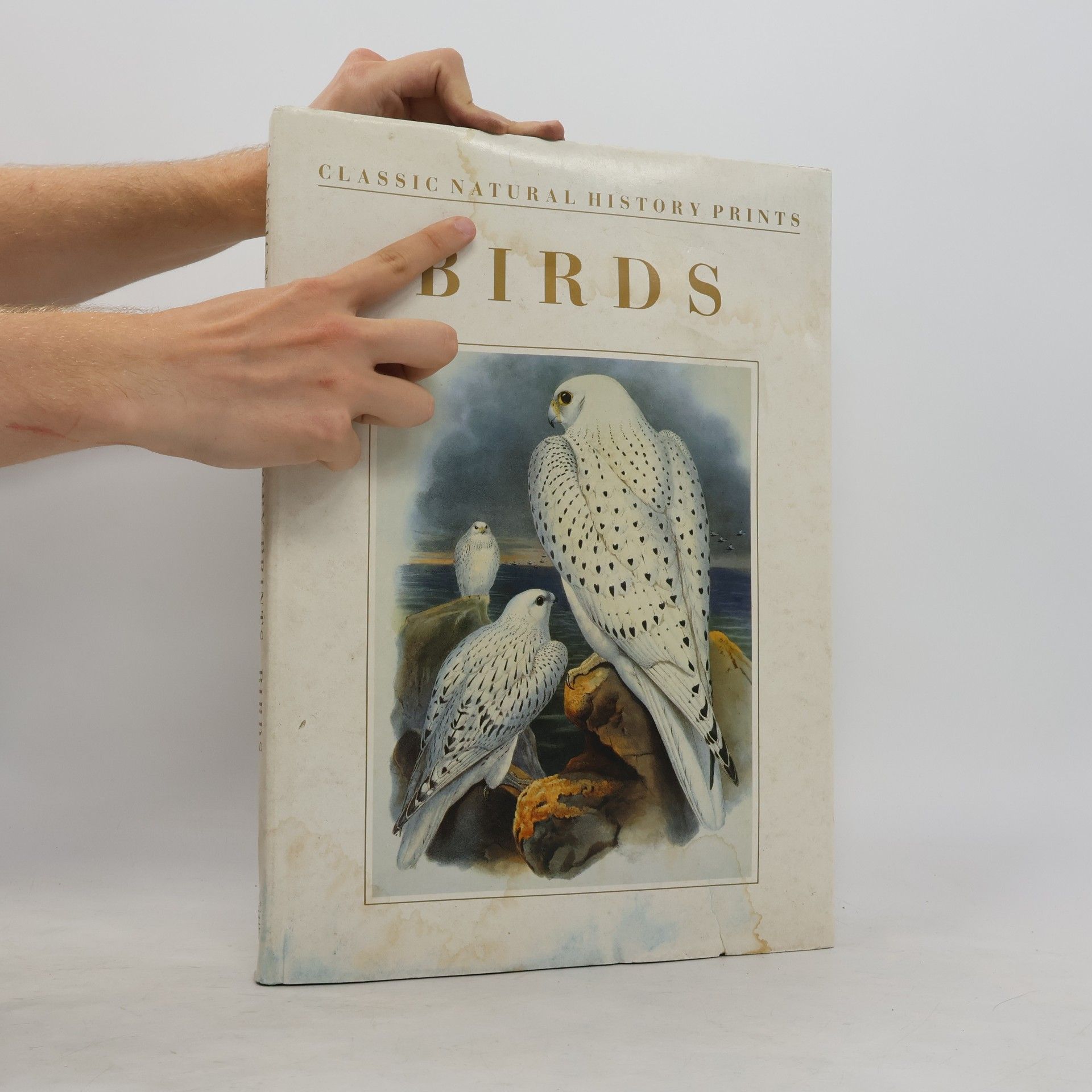 Unknown Author Classical Natural History Prints