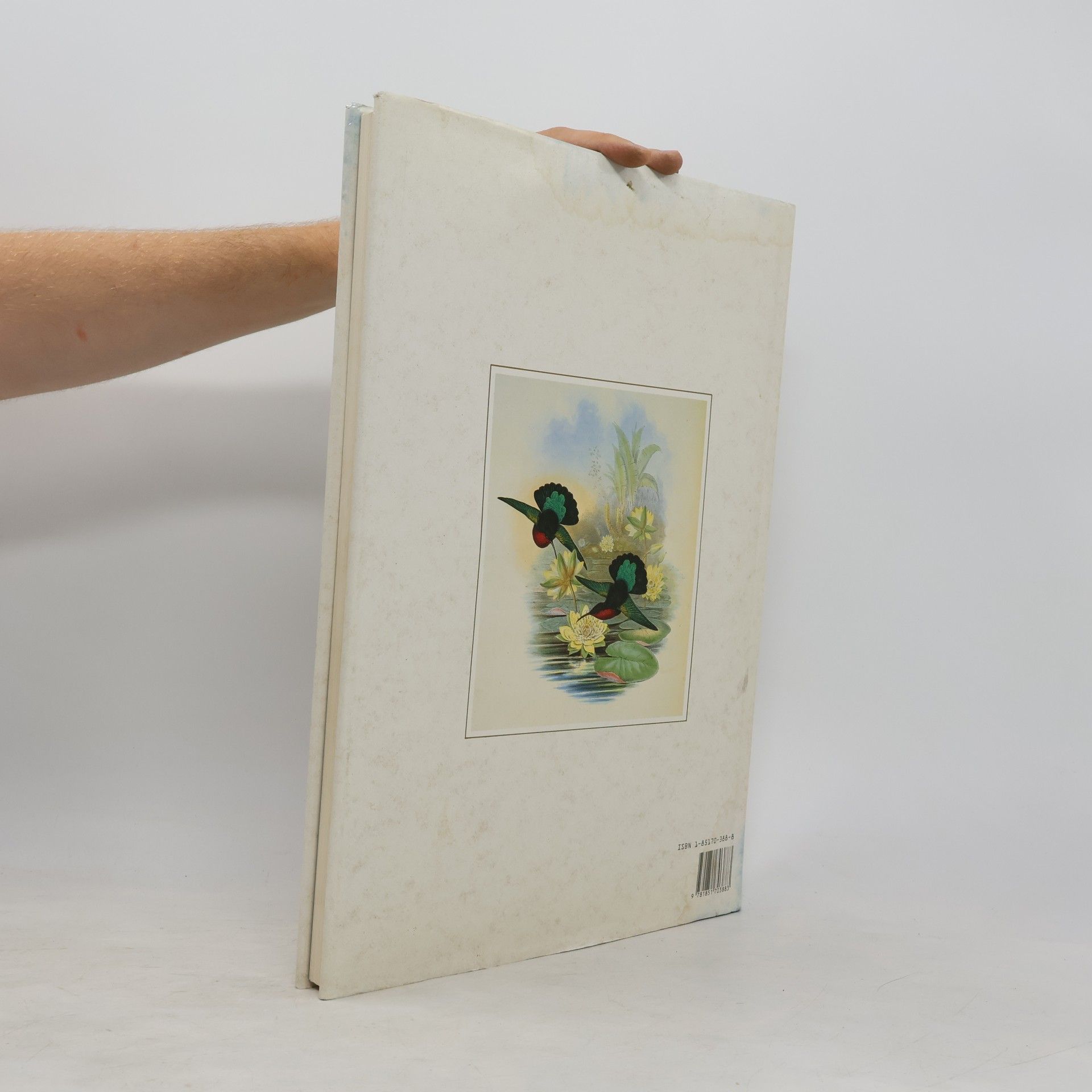 Unknown Author Classical Natural History Prints
