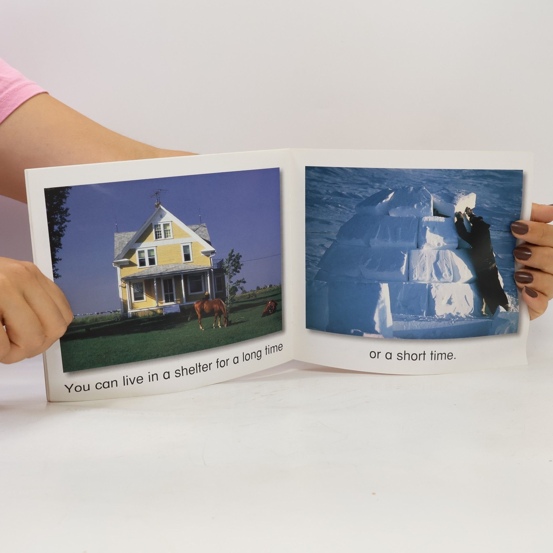 Samantha Berger Shelter - Emergent Reader