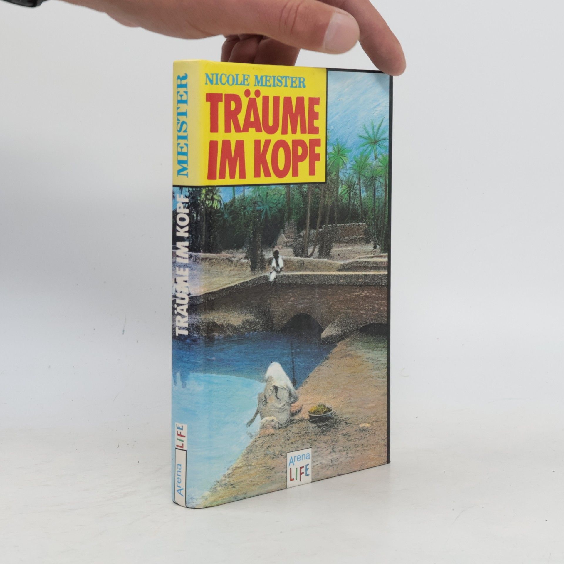 Nicole Meister Träume im Kopf