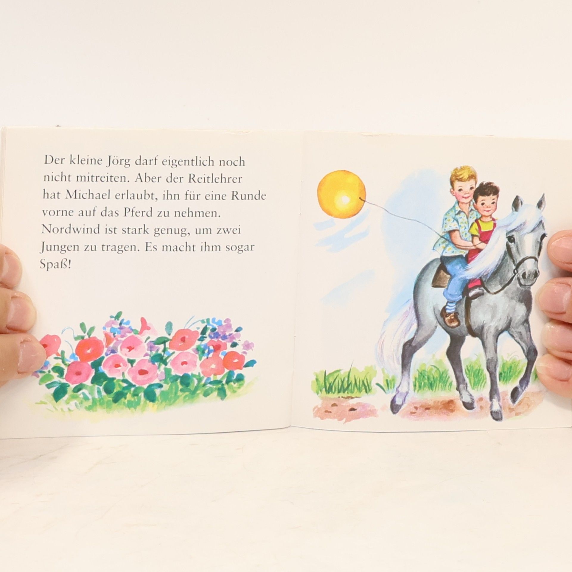 Autorenkollektiv Pixi Bücher. In Ponygarten