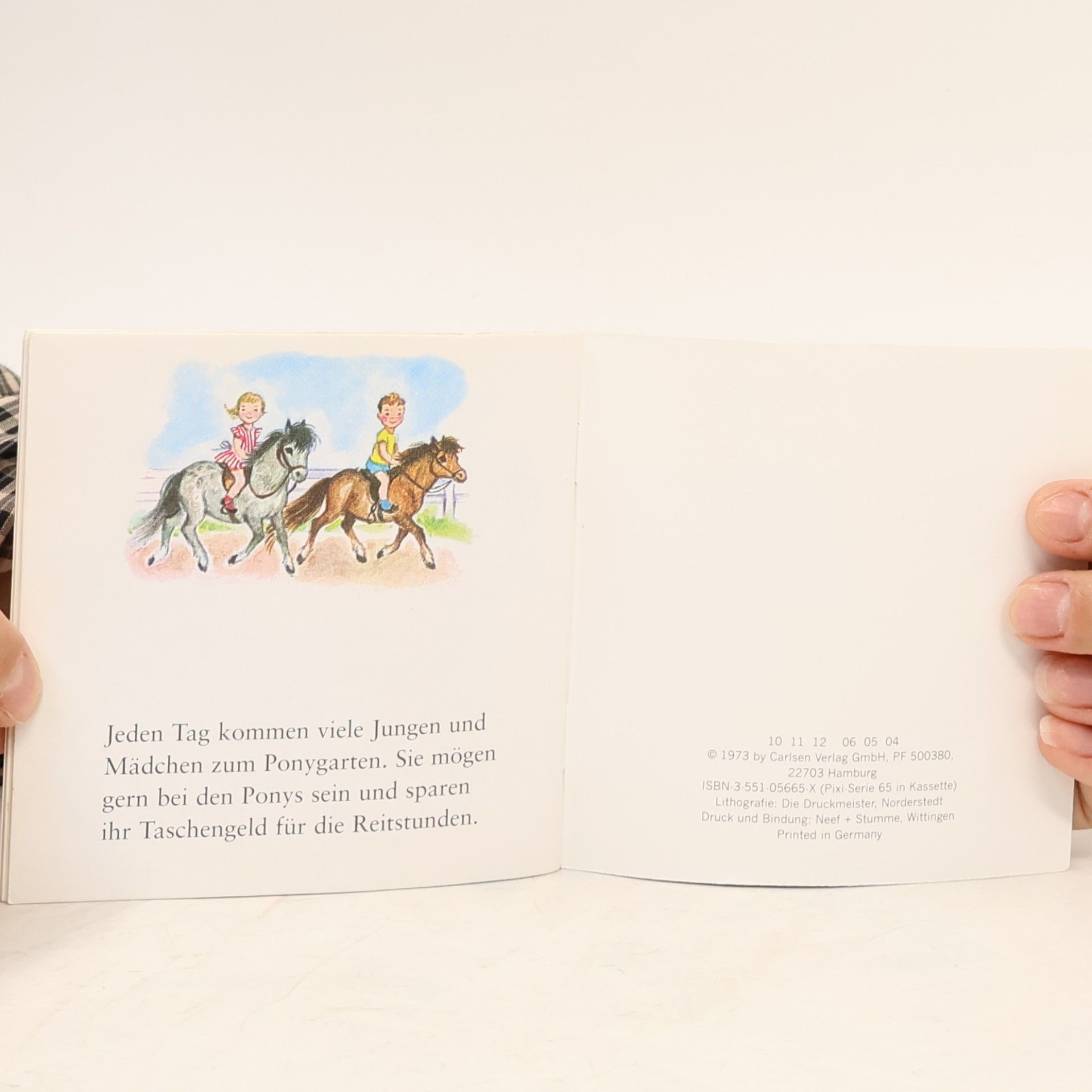 Autorenkollektiv Pixi Bücher. In Ponygarten