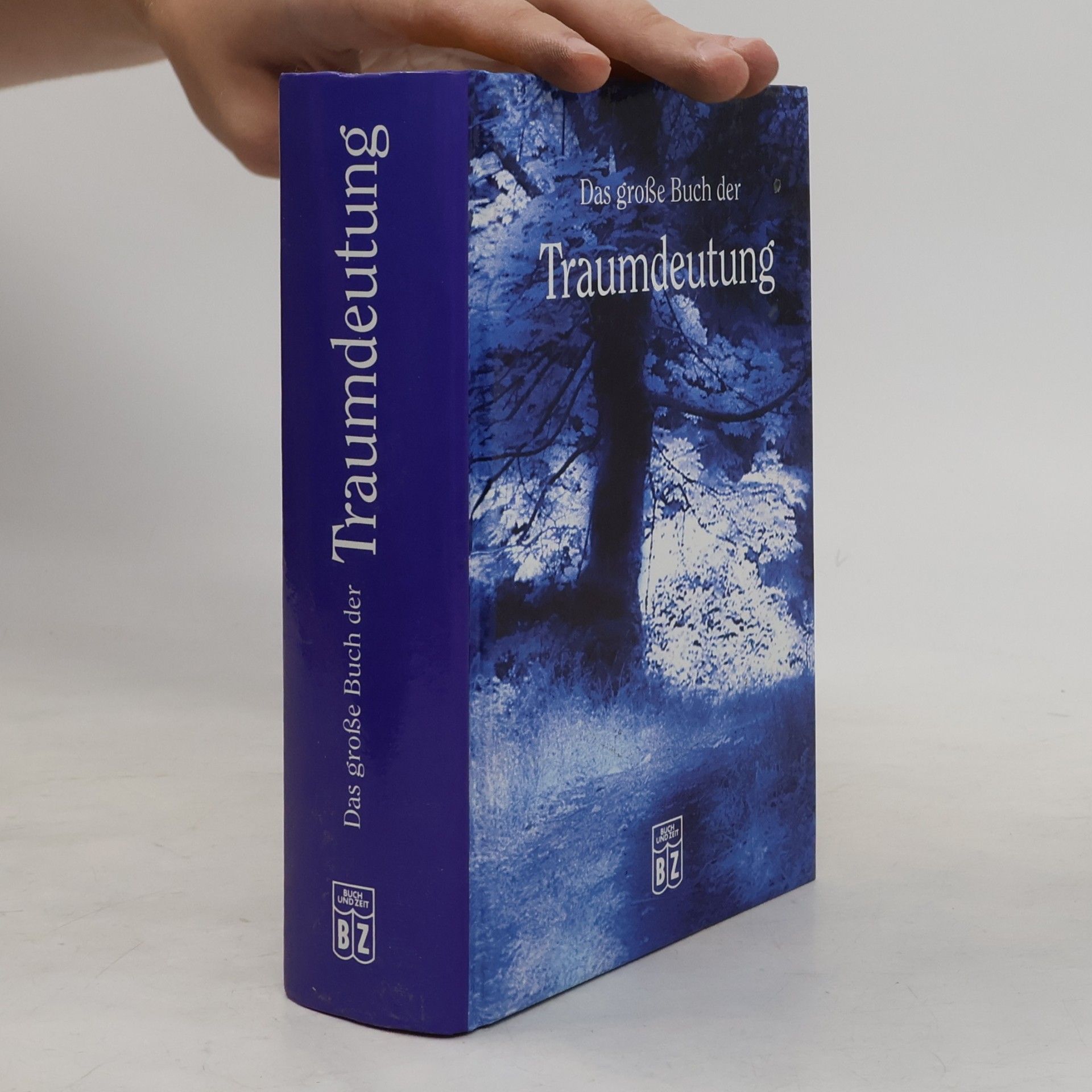 Andreas Baumgarten Das große Buch der Traumdeutung