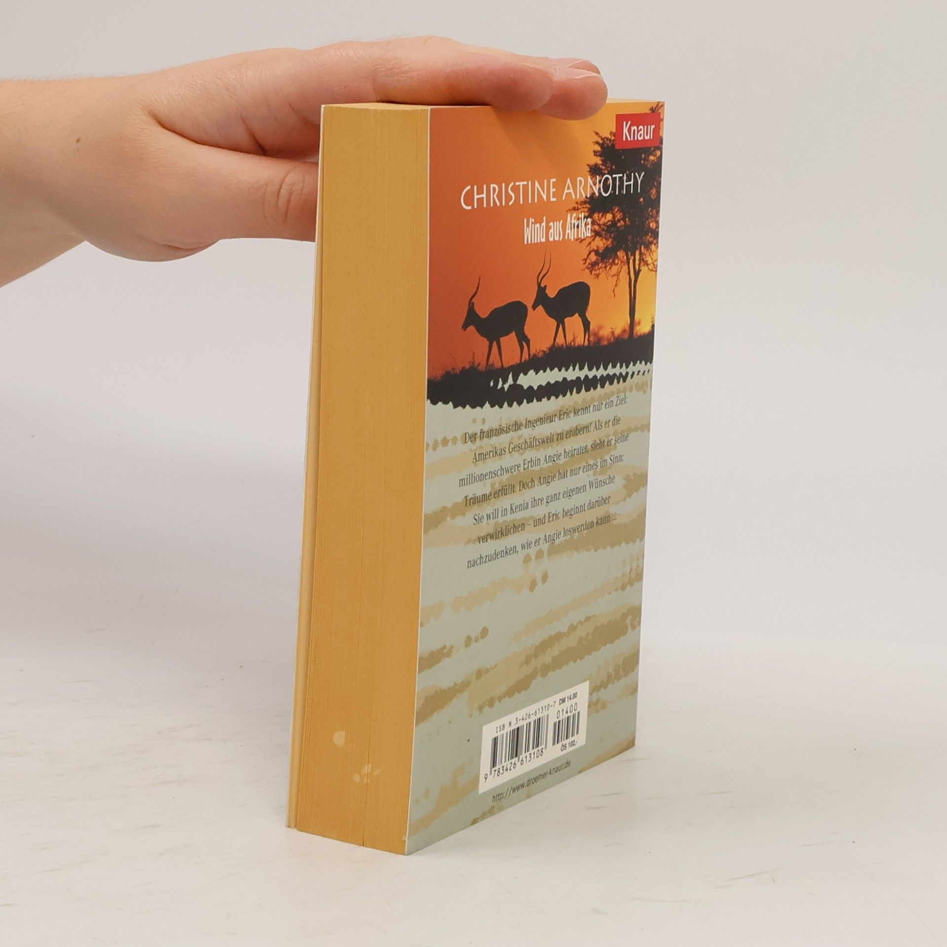 Christine Arnothy Wind aus Afrika