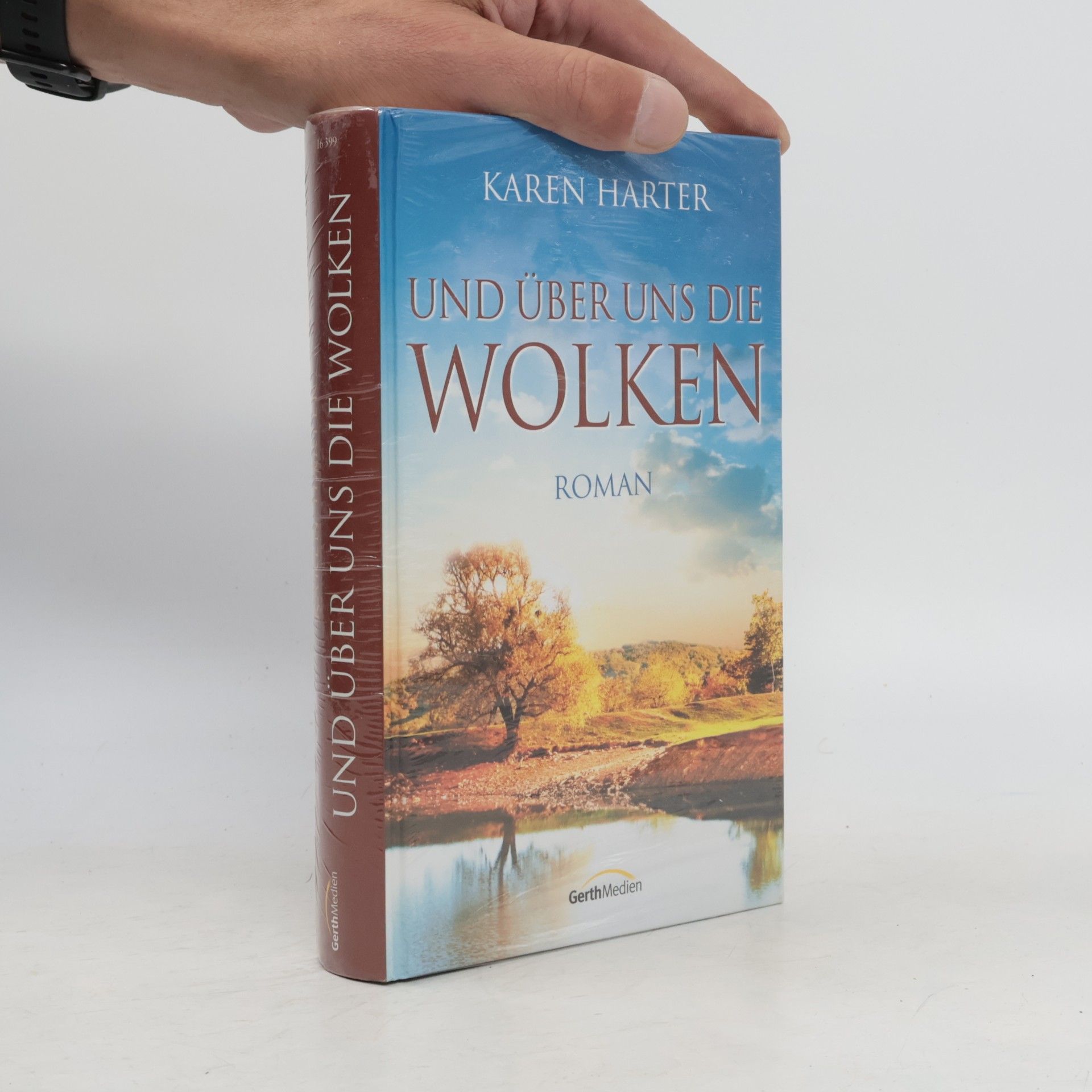 Beate Zobel Und über uns die Wolken. Roman