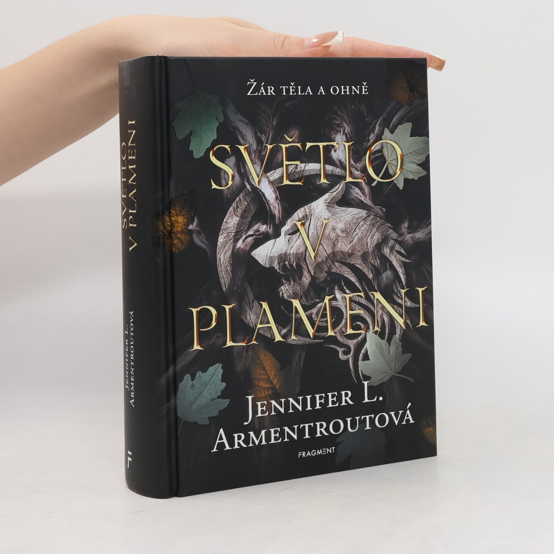 Jennifer Armentrout Světlo v plameni