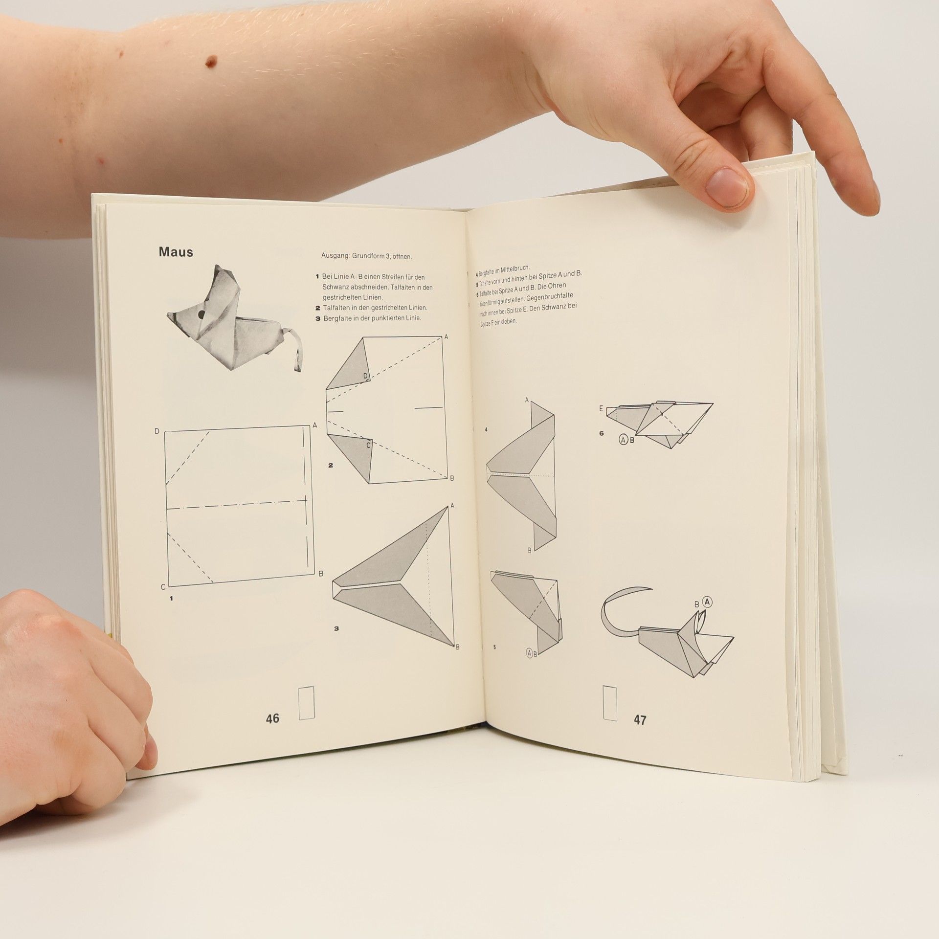 Irmgard Kneißler Das Origami-Buch