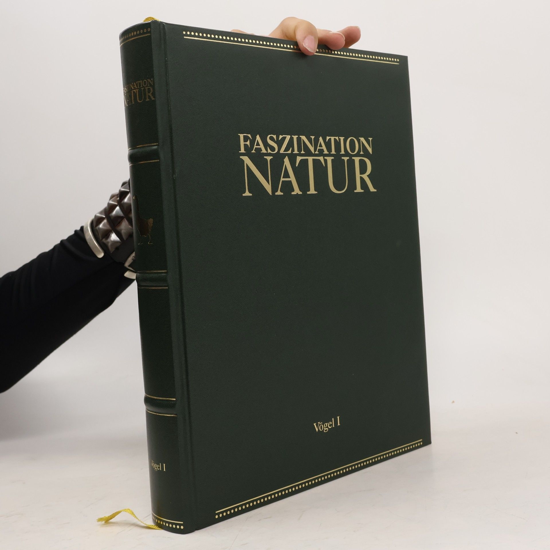 Kolektiv autorů Faszination Natur. Vögel I