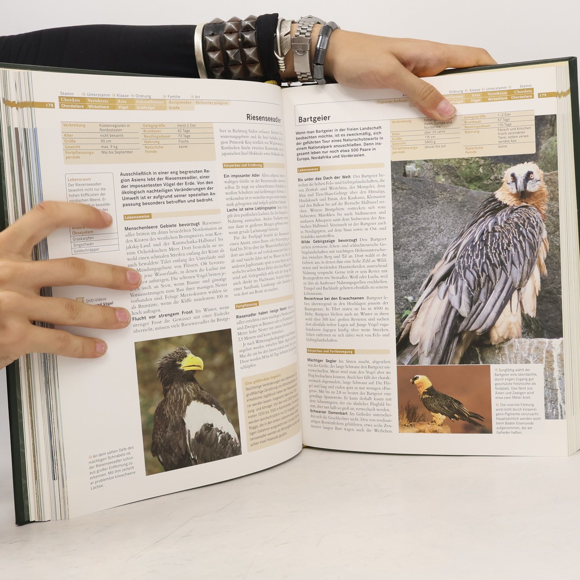 Autorenkollektiv Faszination Natur. Vögel I