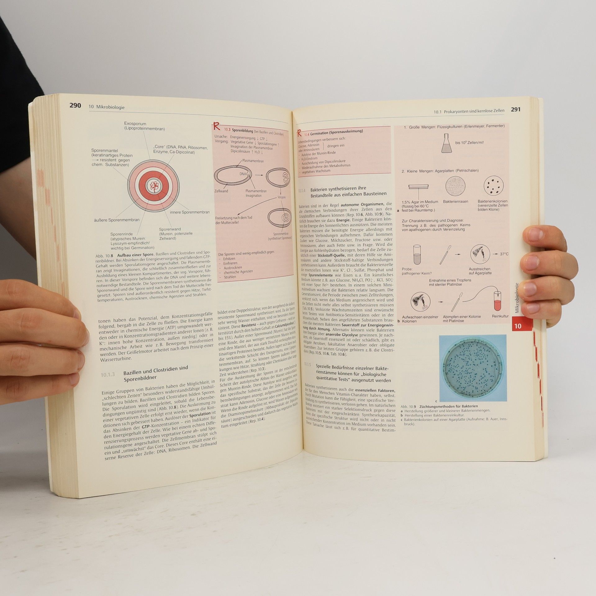 Monica Hirsch Kauffmann Biologie für Mediziner und Naturwissenschaftler