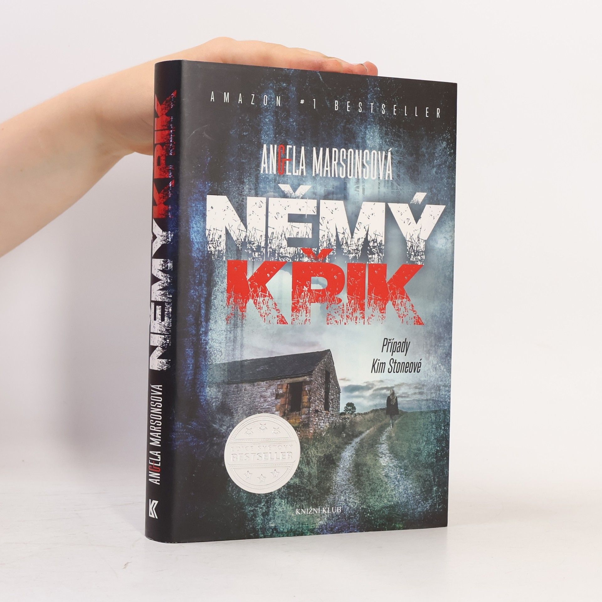 Angela Marsons Němý křik