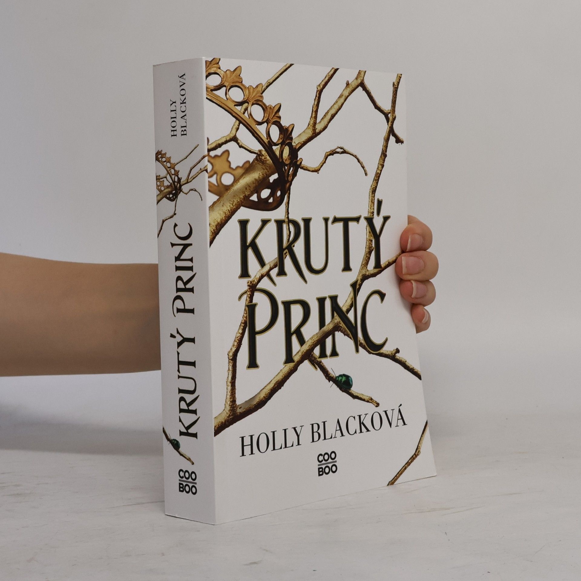 Holly Black Krutý princ