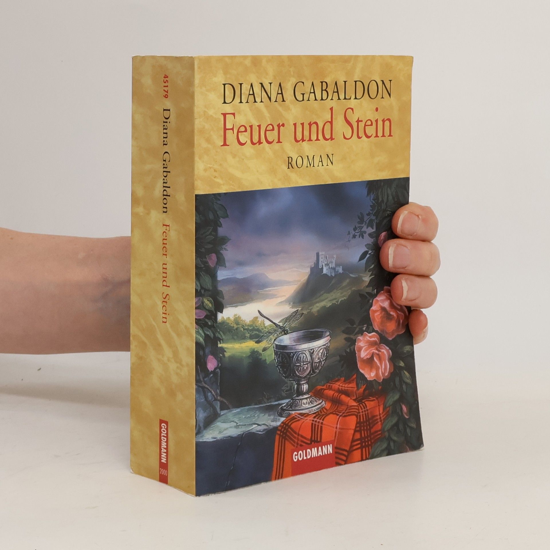 Diana Gabaldon Feuer und Stein