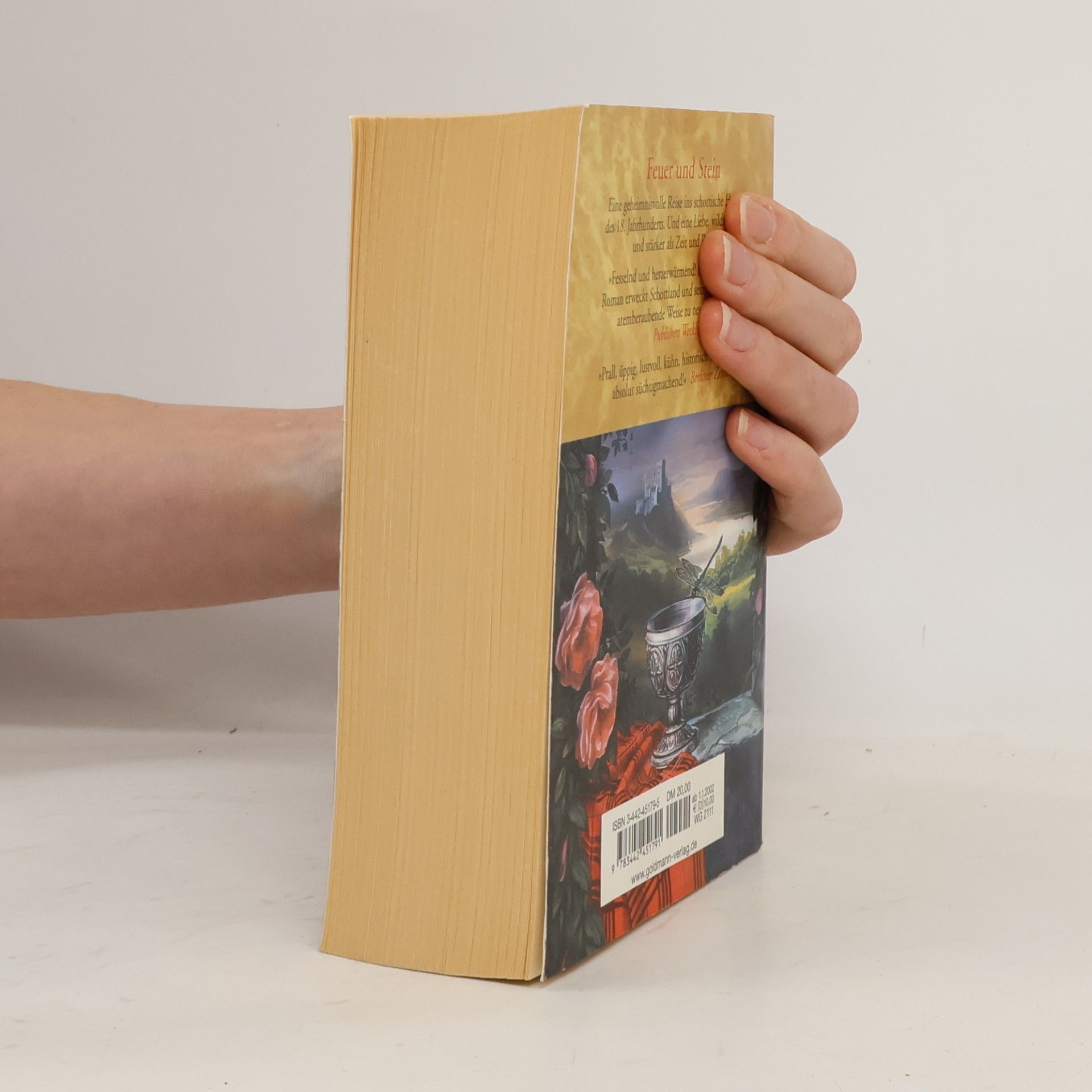 Diana Gabaldon Feuer und Stein