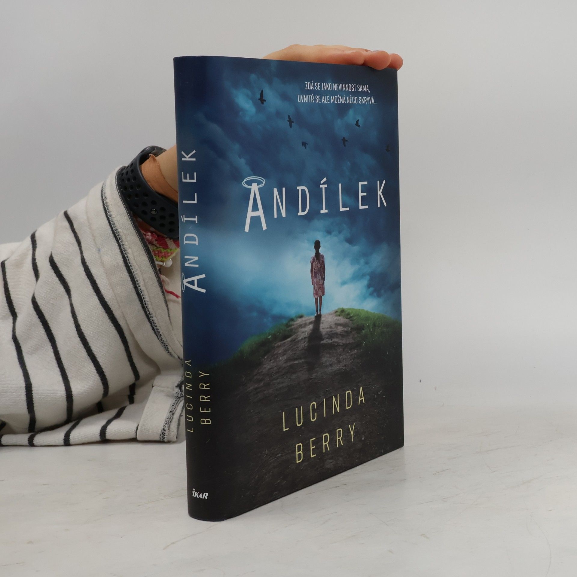 Lucinda Berry Andílek