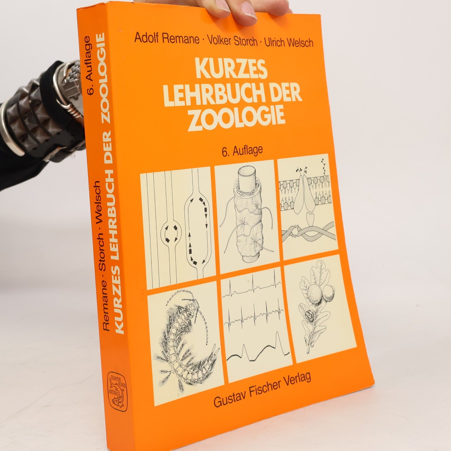Adolf Remane Kurzes Lehrbuch der Zoologie