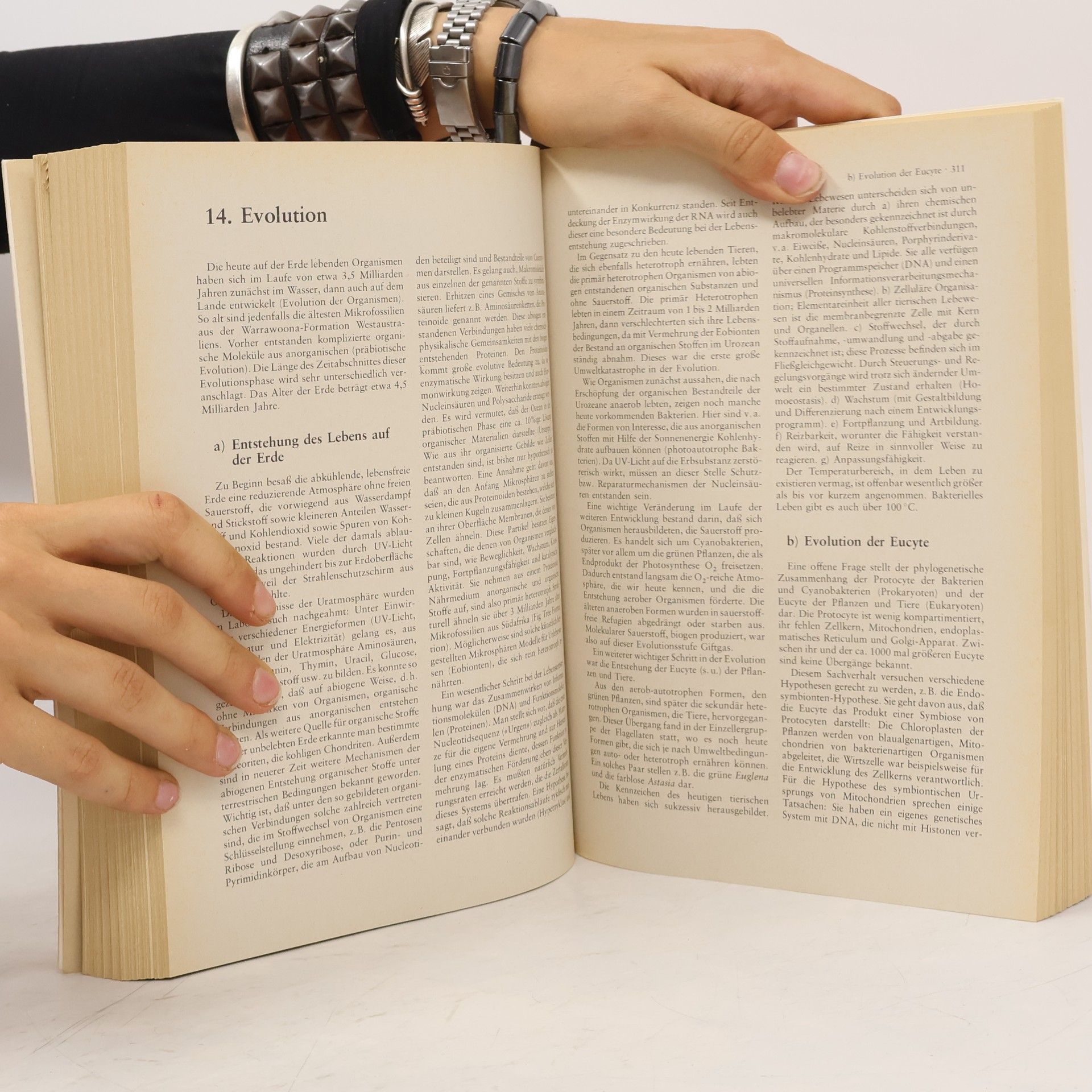 Adolf Remane Kurzes Lehrbuch der Zoologie