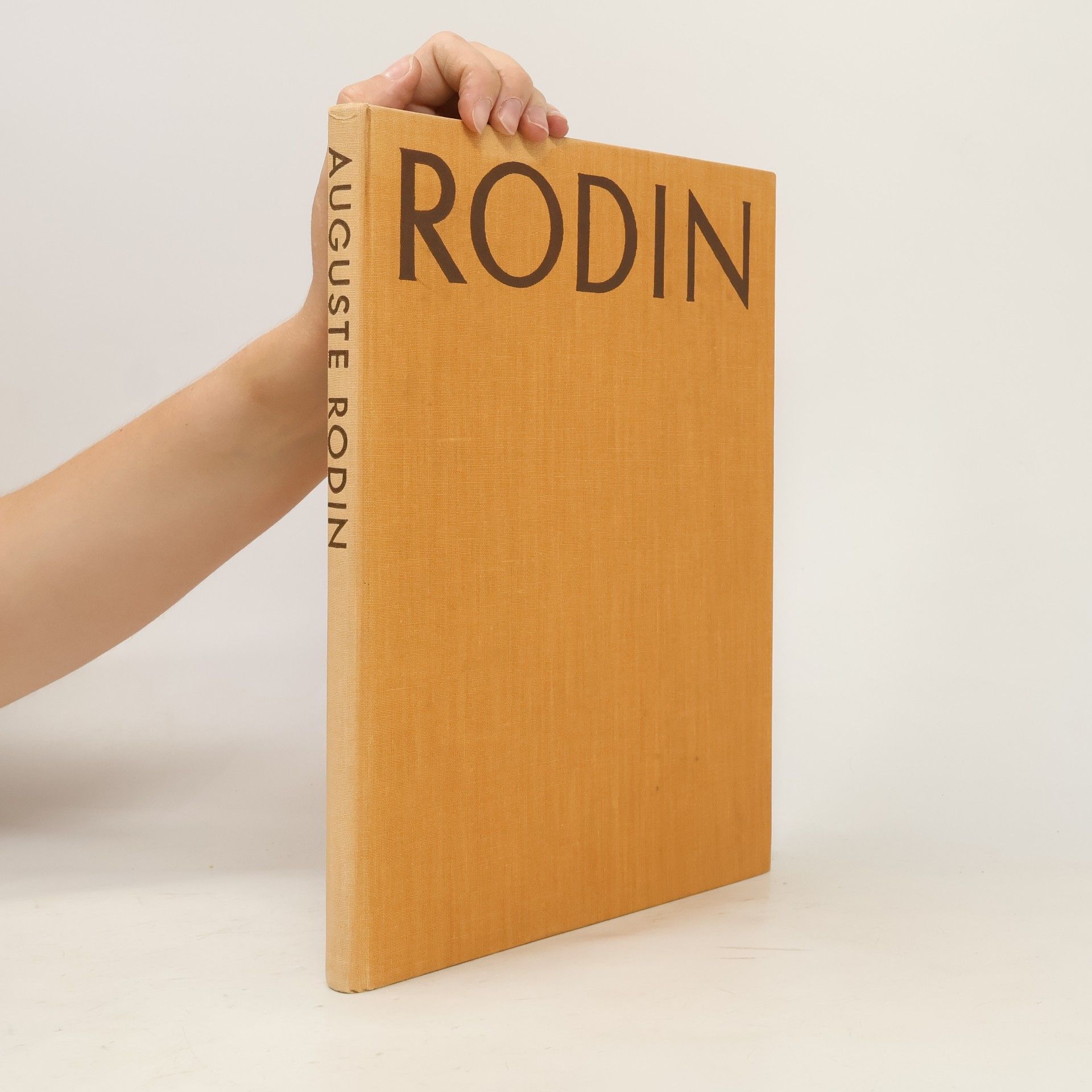 Auguste Rodin Rodin