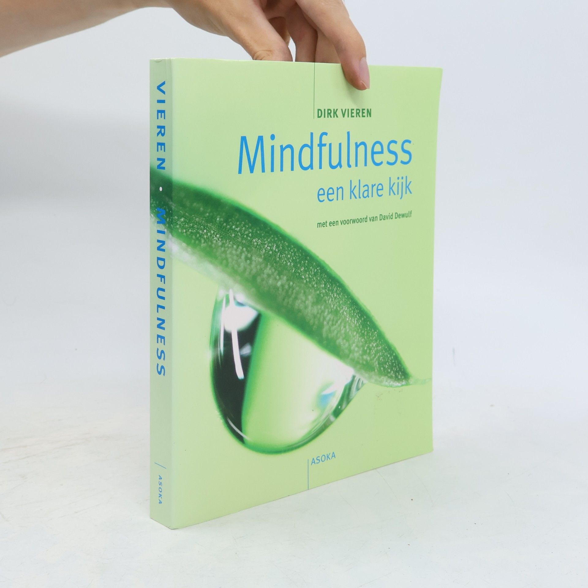 Dirk Vieren Mindfulness