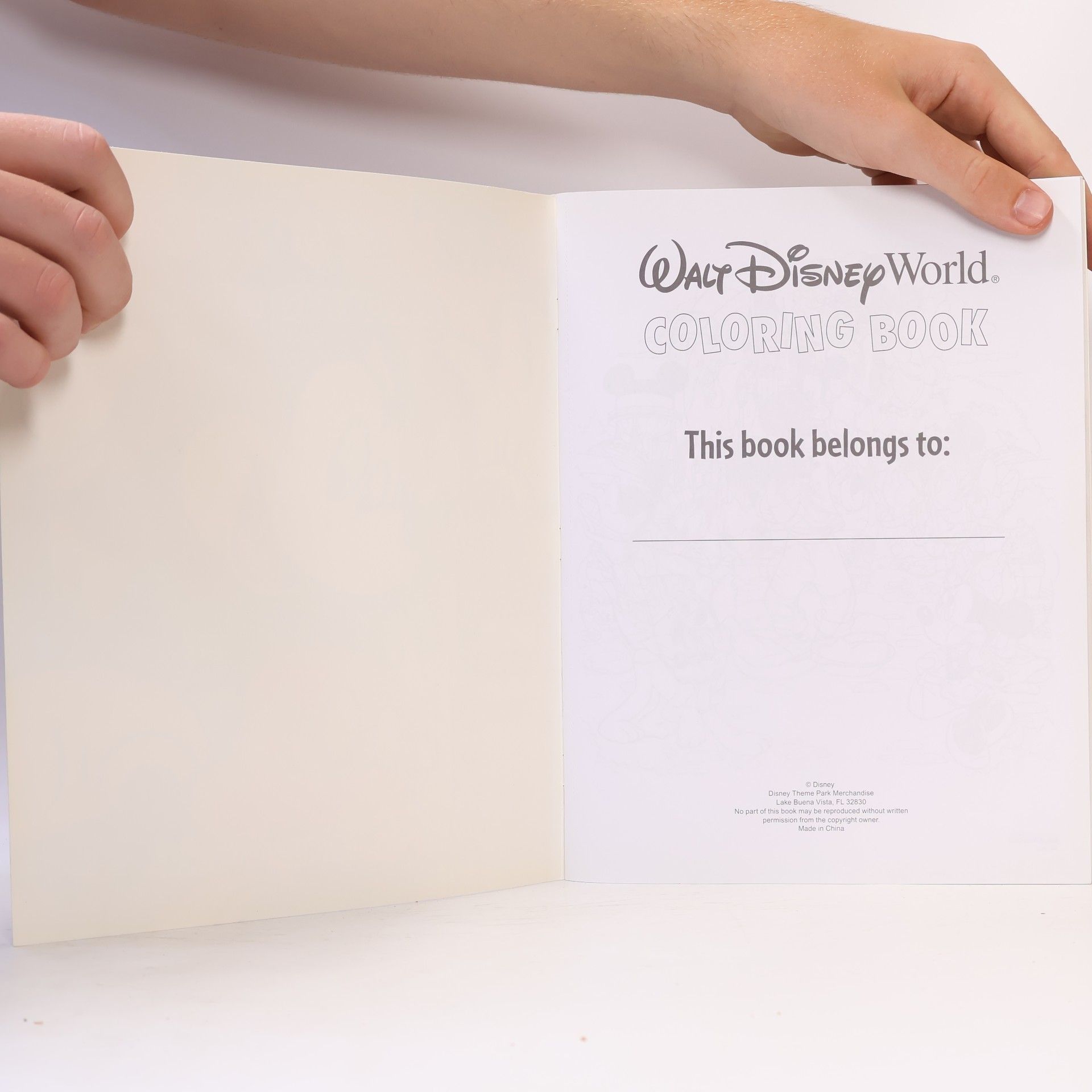 Various authors Mickey & Friends Coloring Book