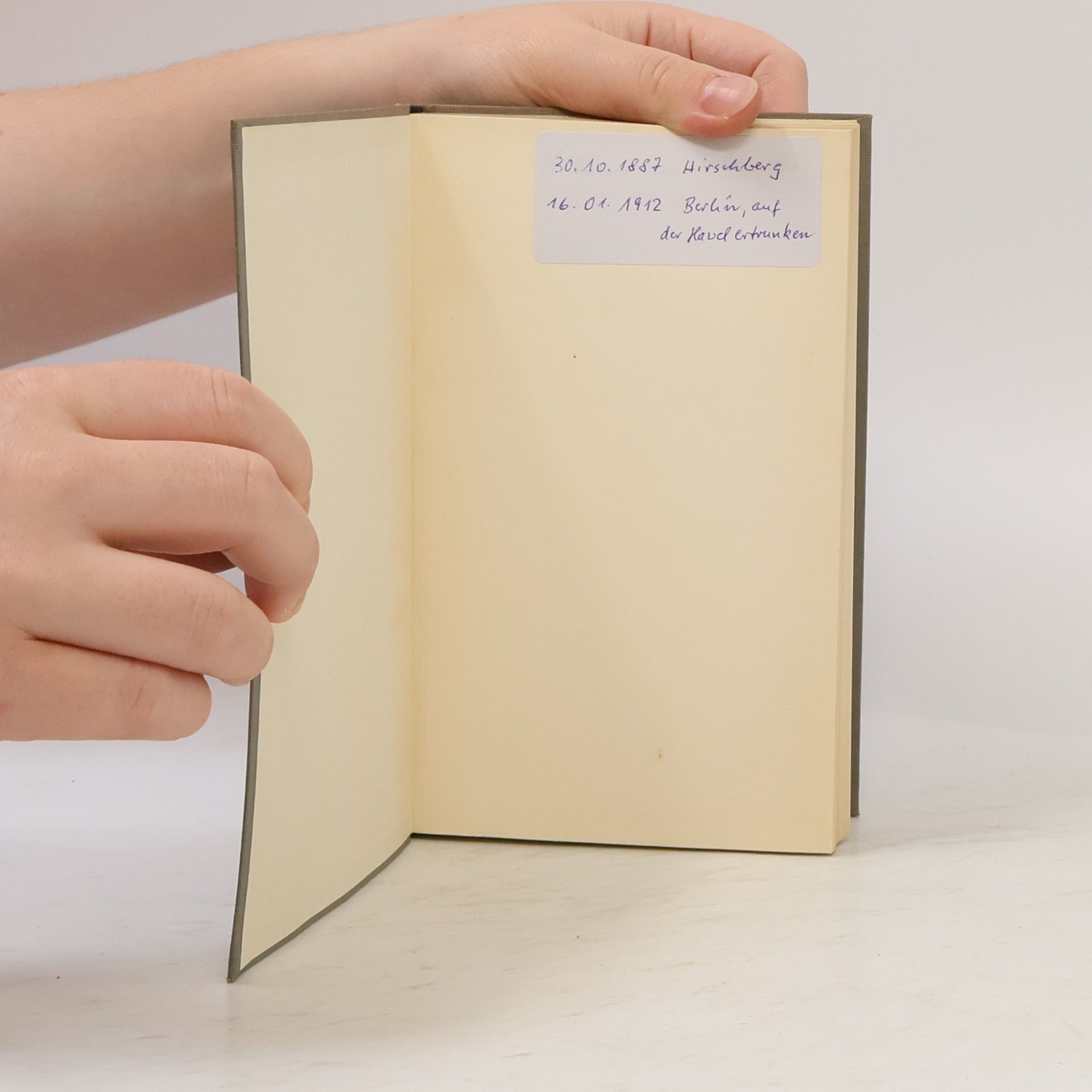 Georg Heym Dichtungen und Schriften Band 3. Tagebücher, Träume und Briefe