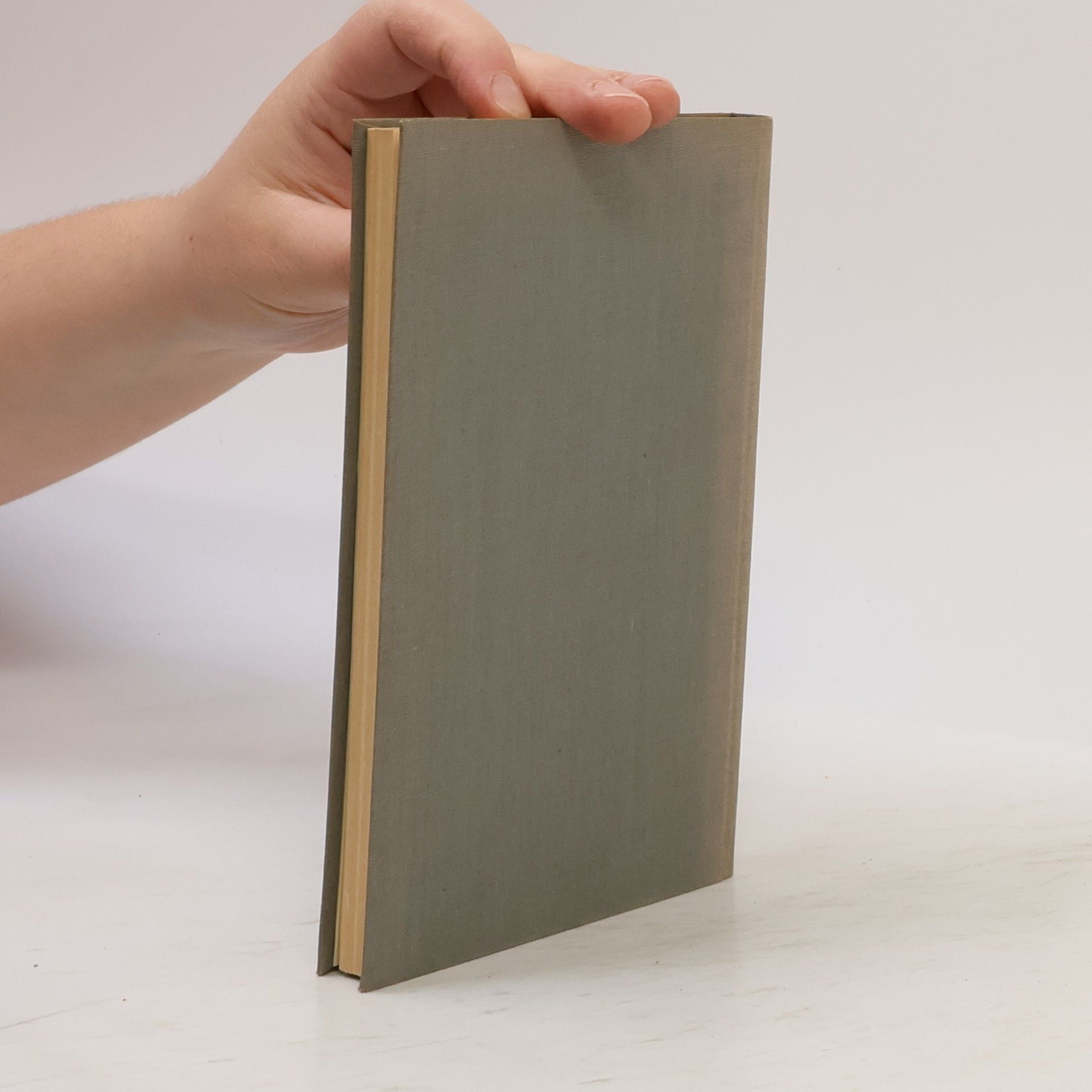 Georg Heym Dichtungen und Schriften Band 3. Tagebücher, Träume und Briefe