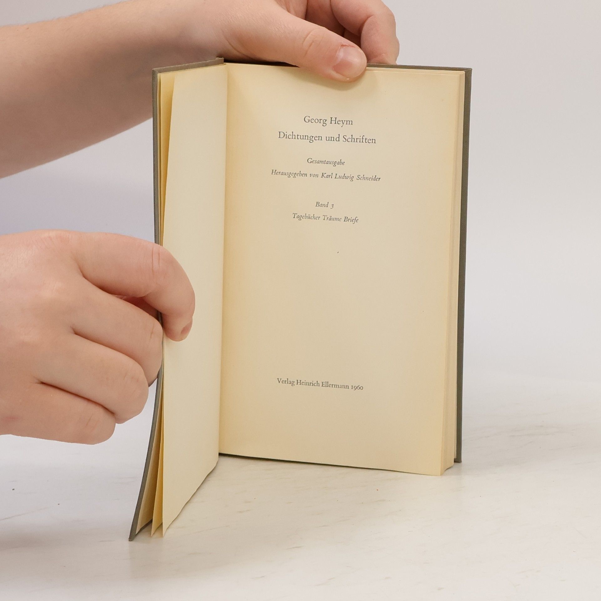 Georg Heym Dichtungen und Schriften Band 3. Tagebücher, Träume und Briefe