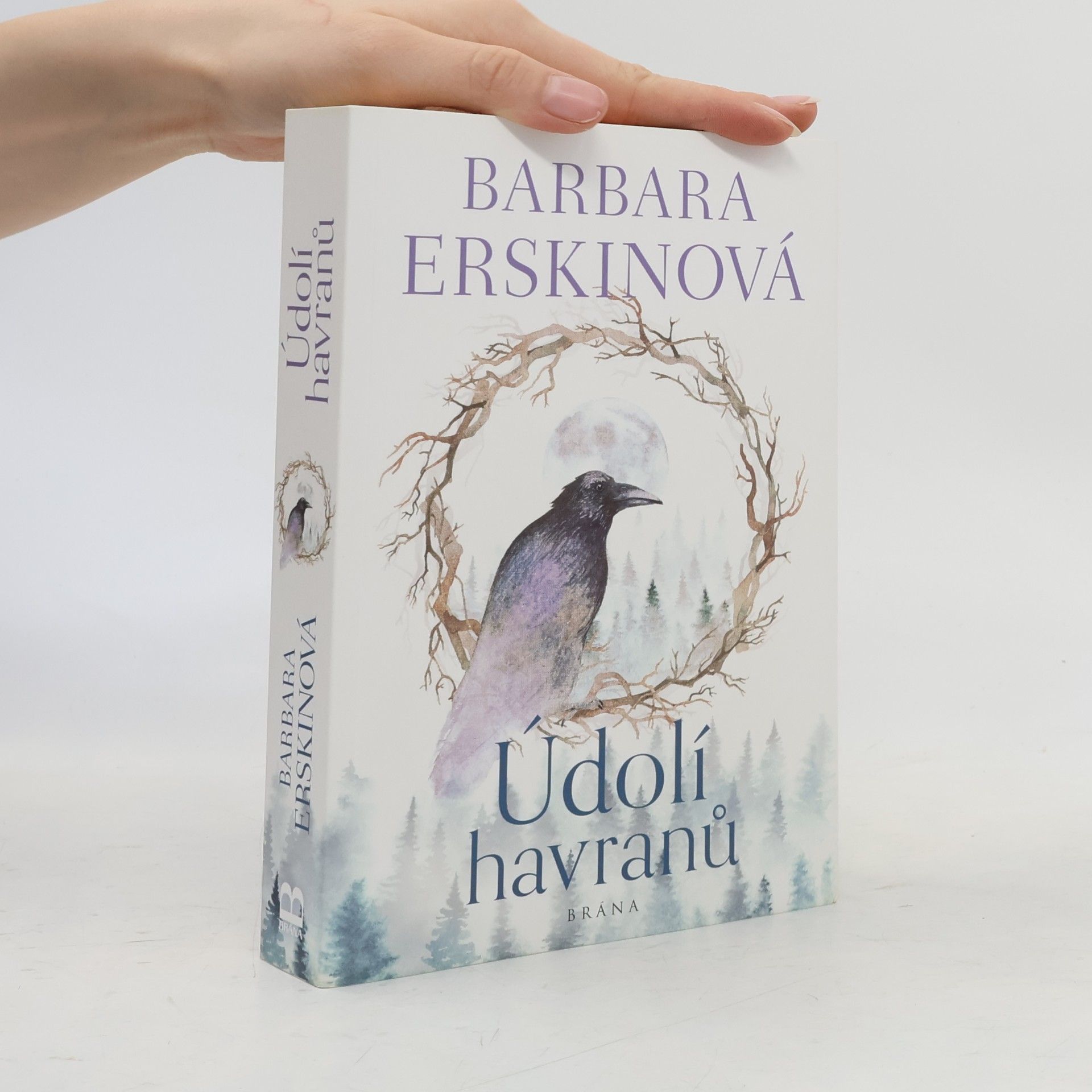 Barbara Erskine Údolí havranů