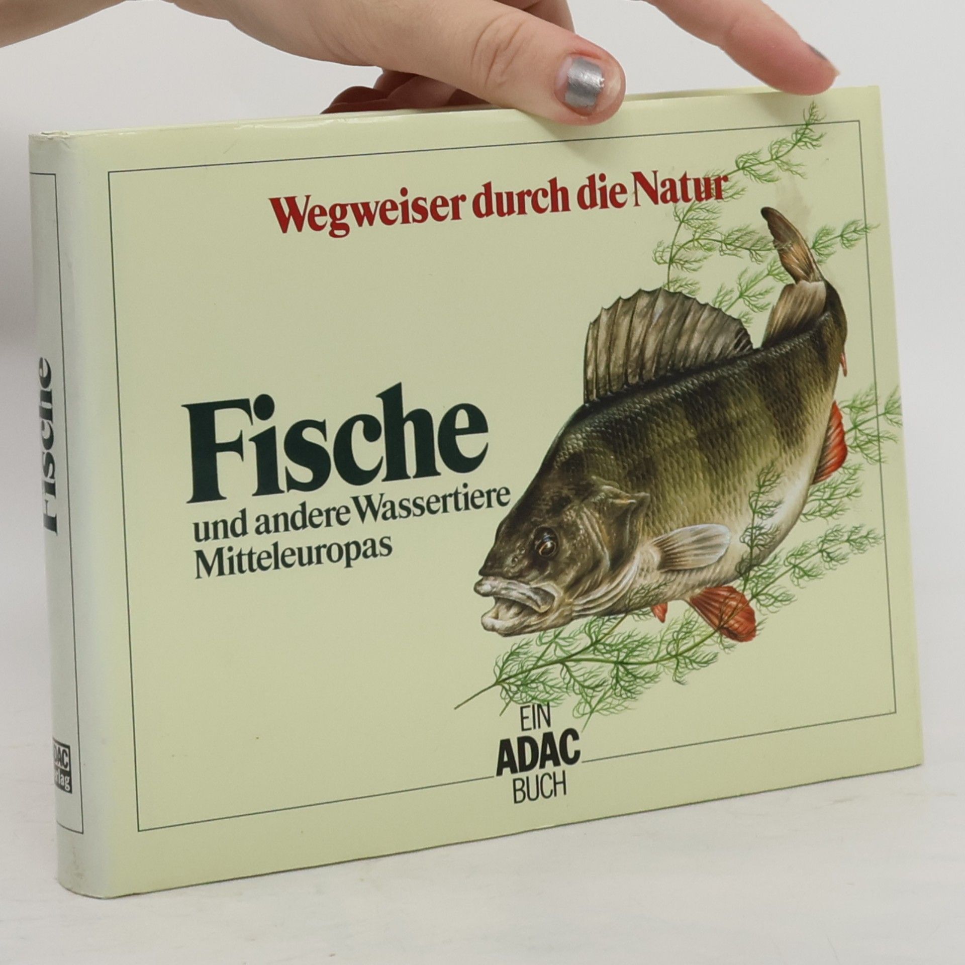 Hans Jürgen Flügel Fische und andere Wassertiere Mitteleuropas