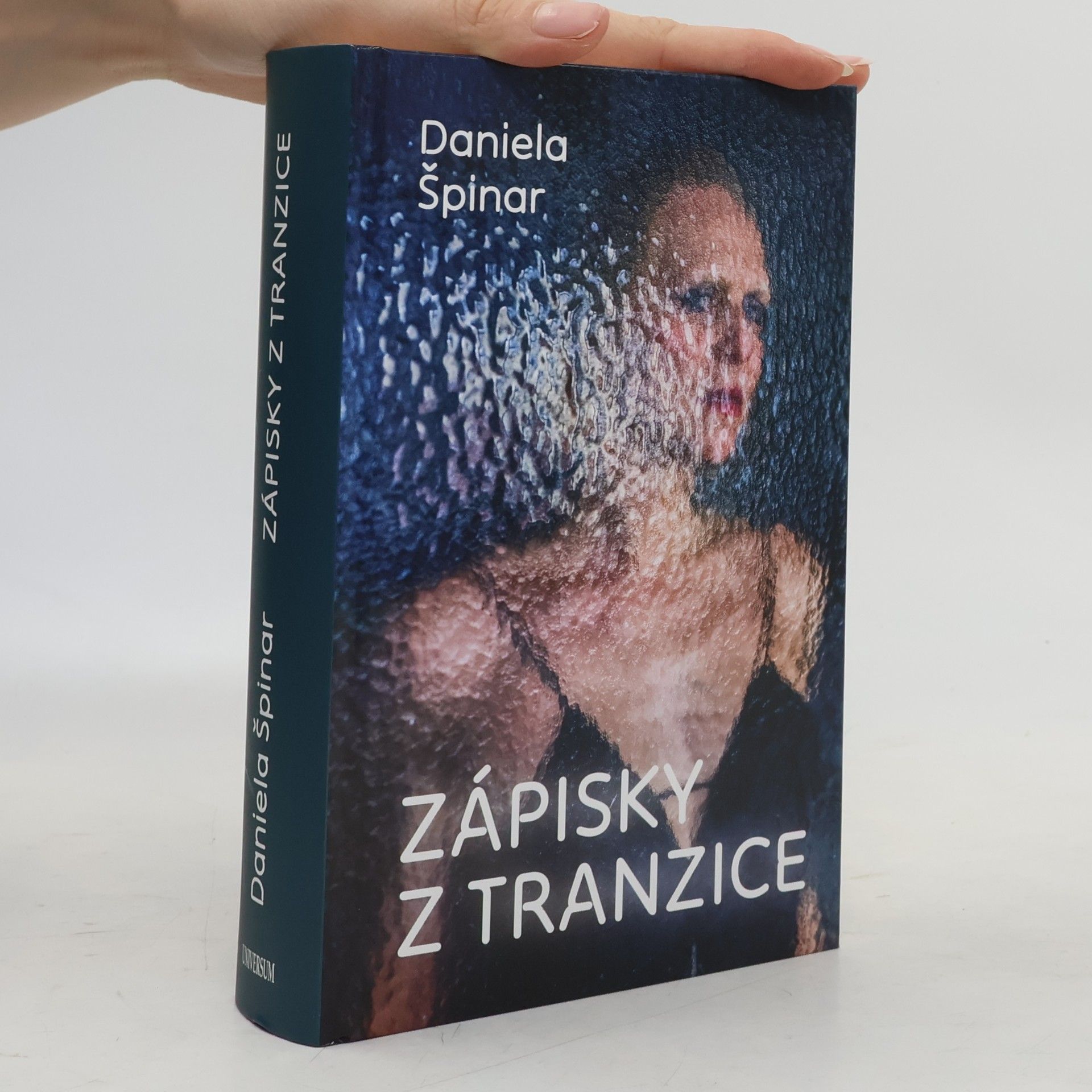 Zápisky z tranzice