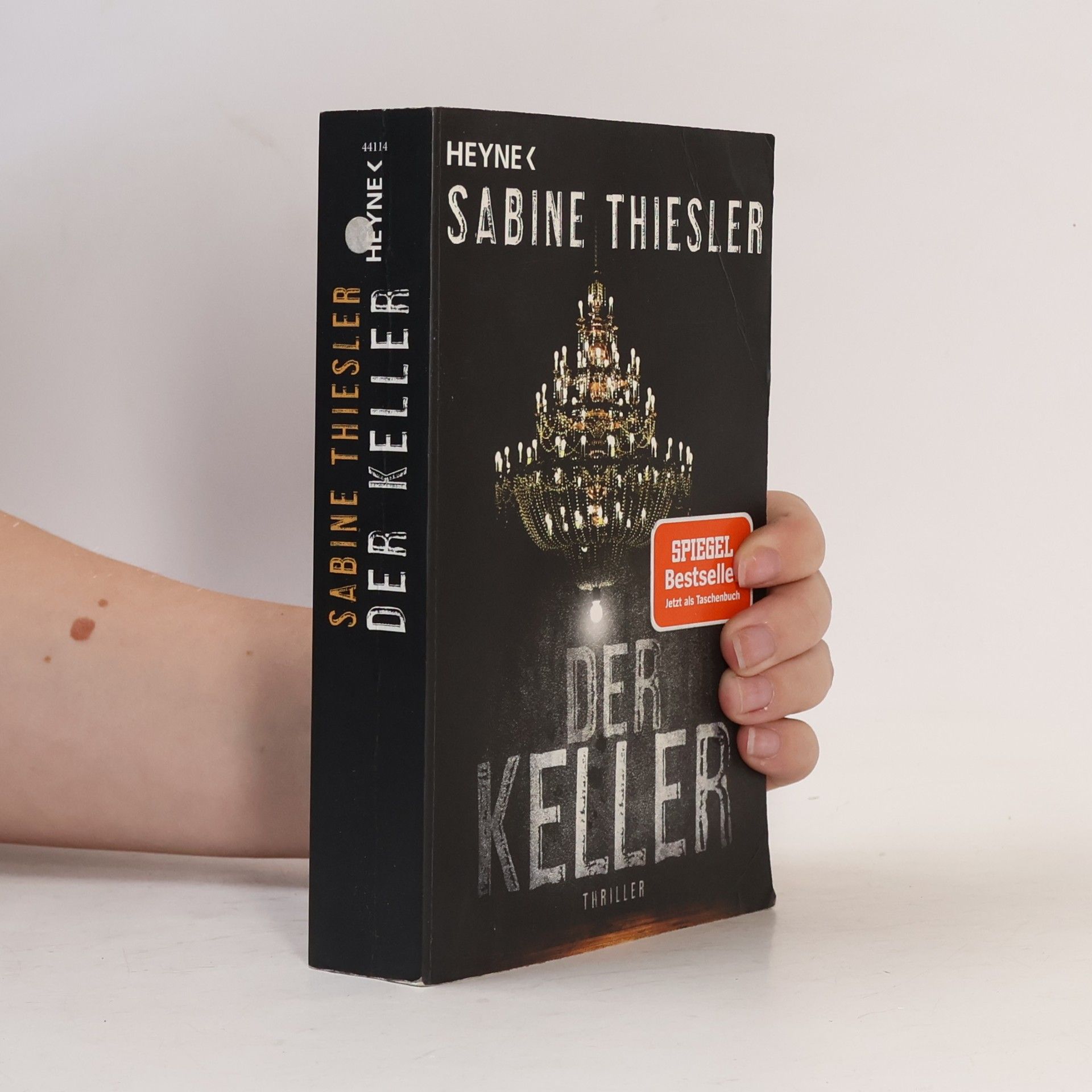 Sabine Thiesler Der Keller